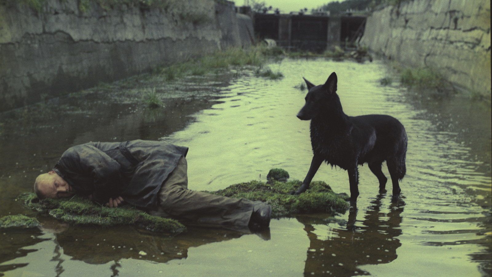 1600x900 Why Andrei Tarkovsky's Interminably Dull 1979 Sci Fi Masterpiece “Stalker” Is The Movie We Need Right Now