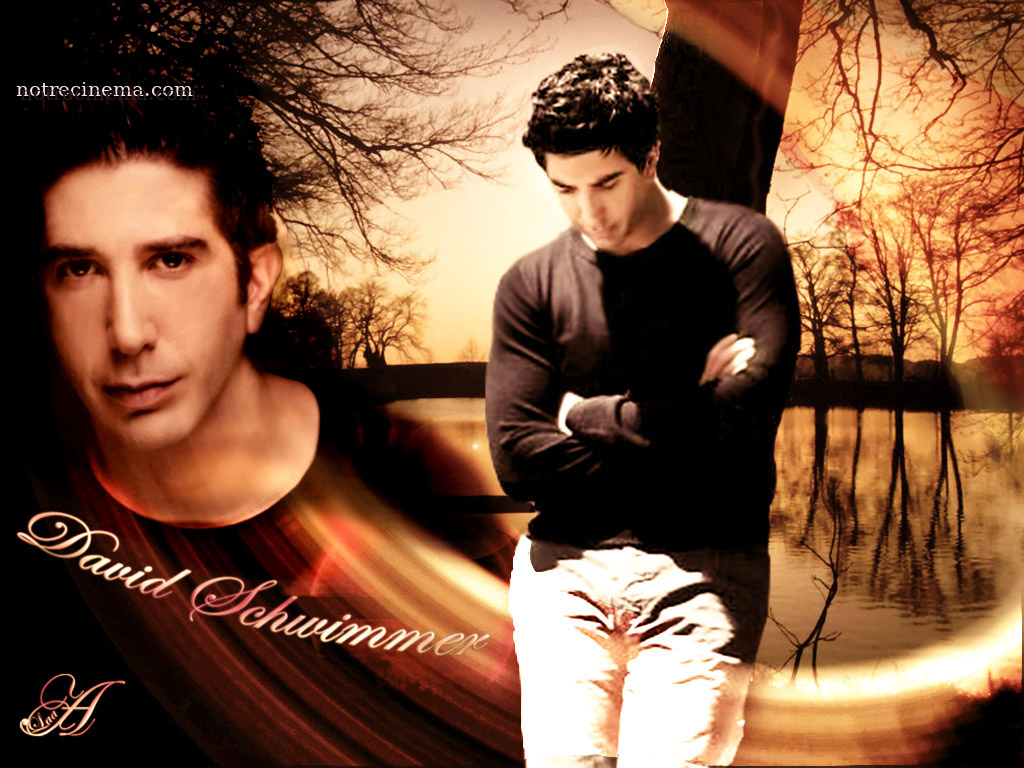 1024x768 David SCHWIMMER : Biography and movies
