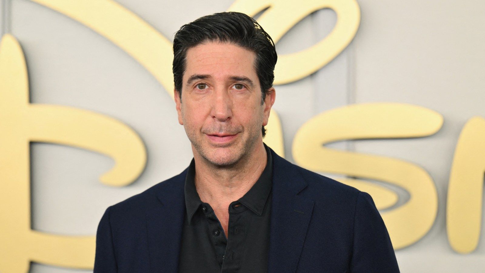 1600x900 David Schwimmer Didn't Listen to 'Friends' Theme Song After Show