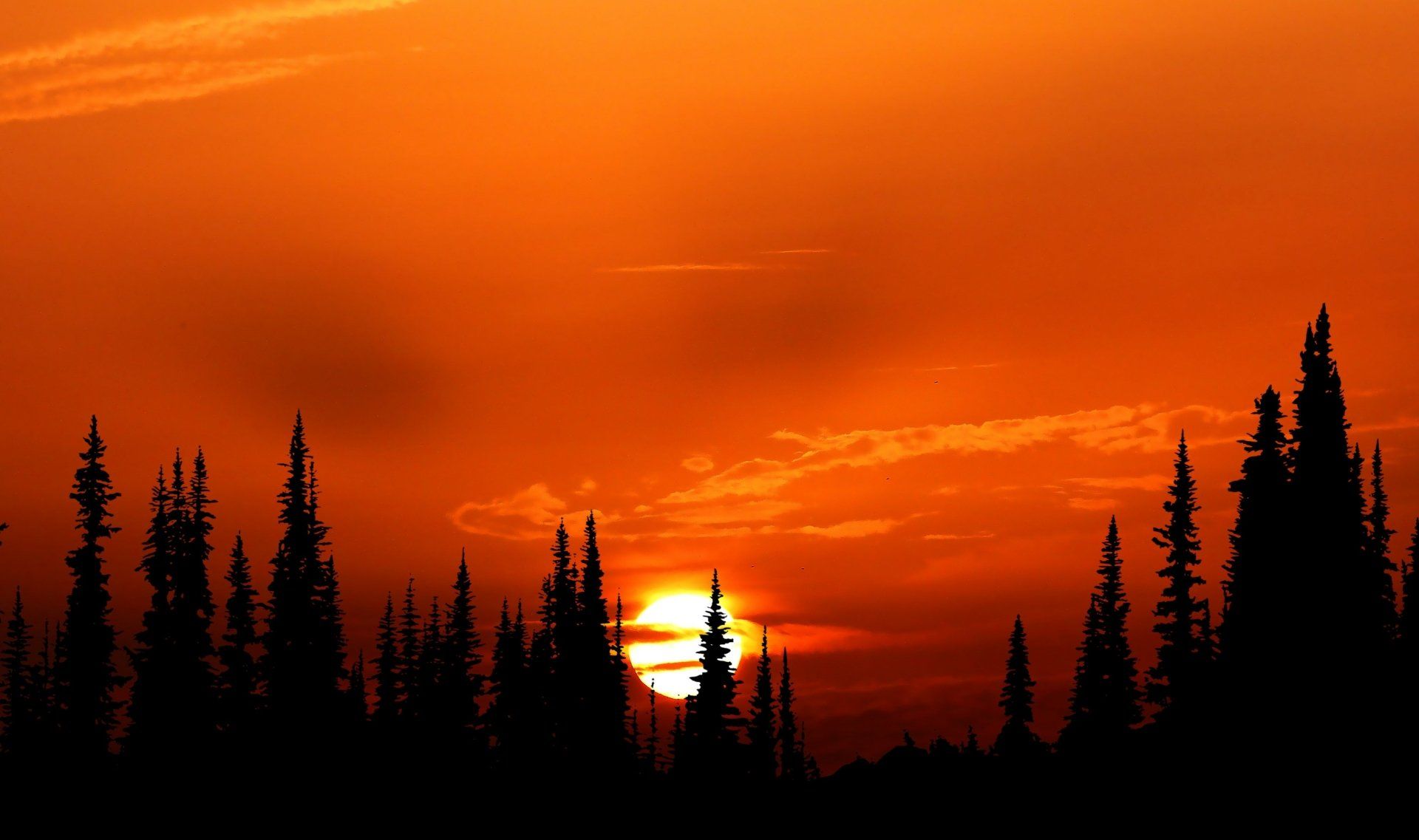 1920x1137 4K Ultra HD Nature Silhouette at Fiery Sunset