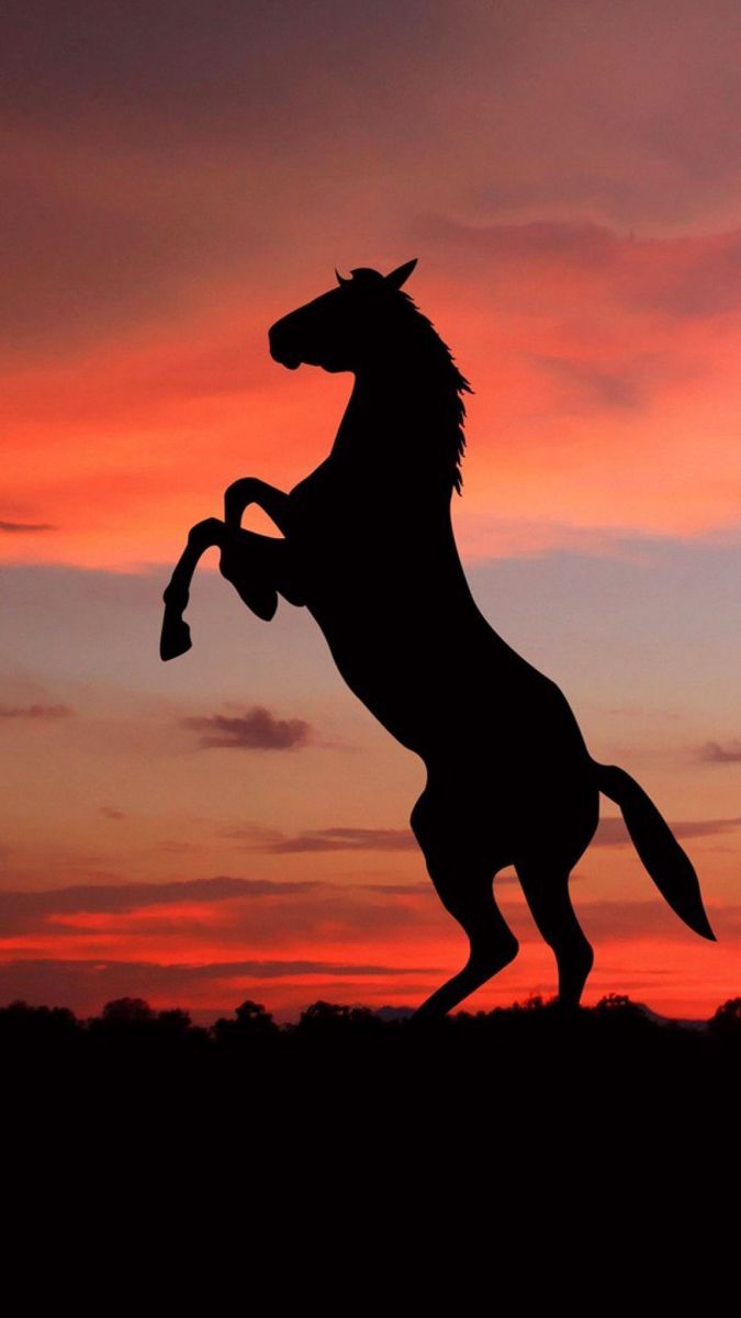 675x1200 Best Horse Wallpaper. Horse wallpaper background, Cute horse wallpaper, Aesthetic horse