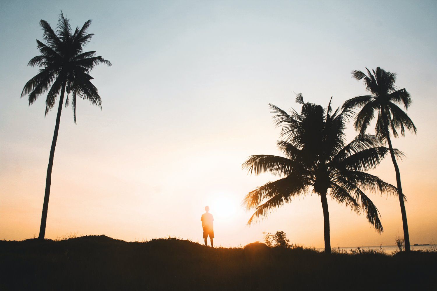 1500x1000 Silhouette Photography: The Ultimate Guide (+ 33 Tips)
