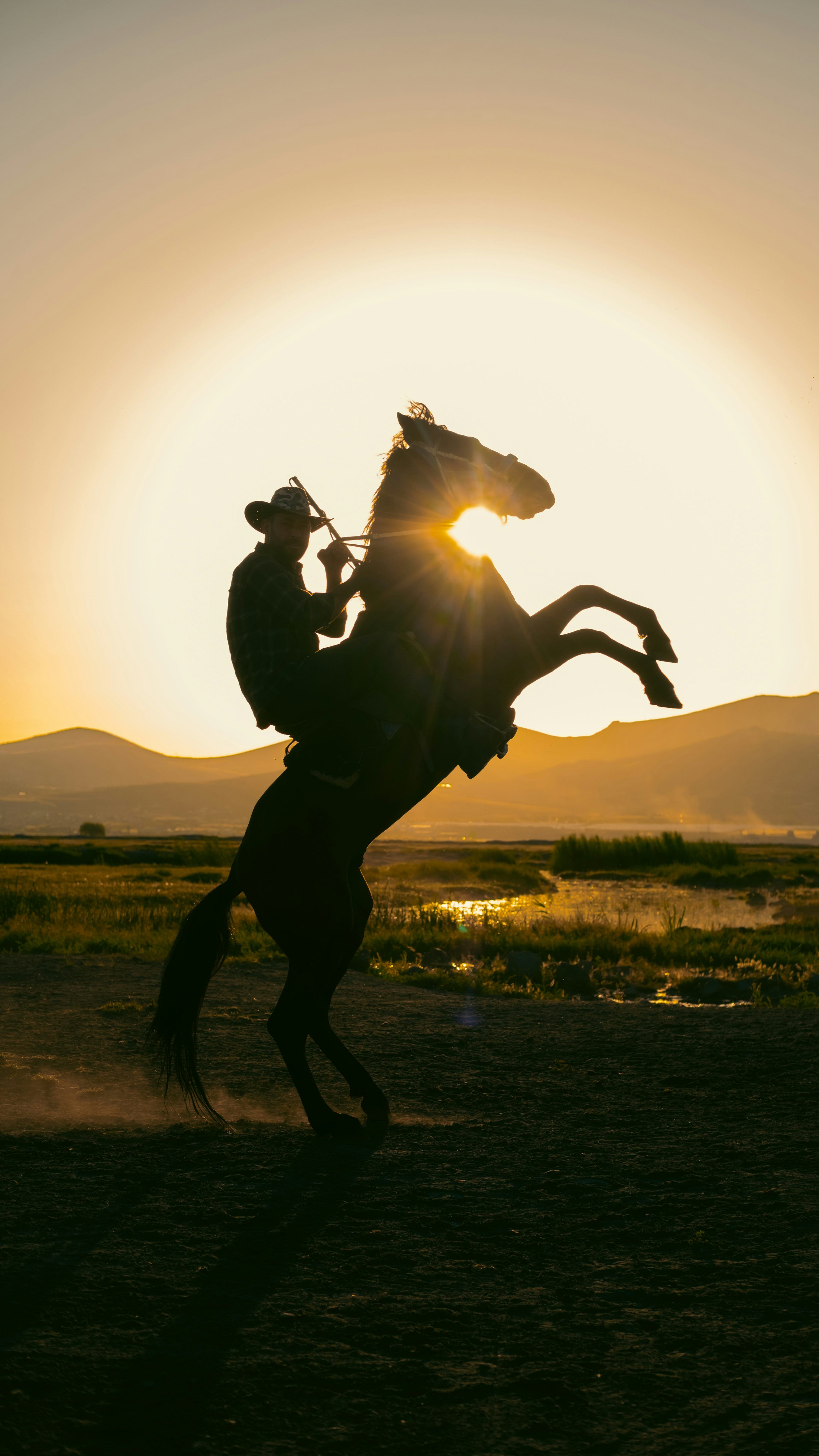 3000x5333 A man riding a horse in the middle of a field photo