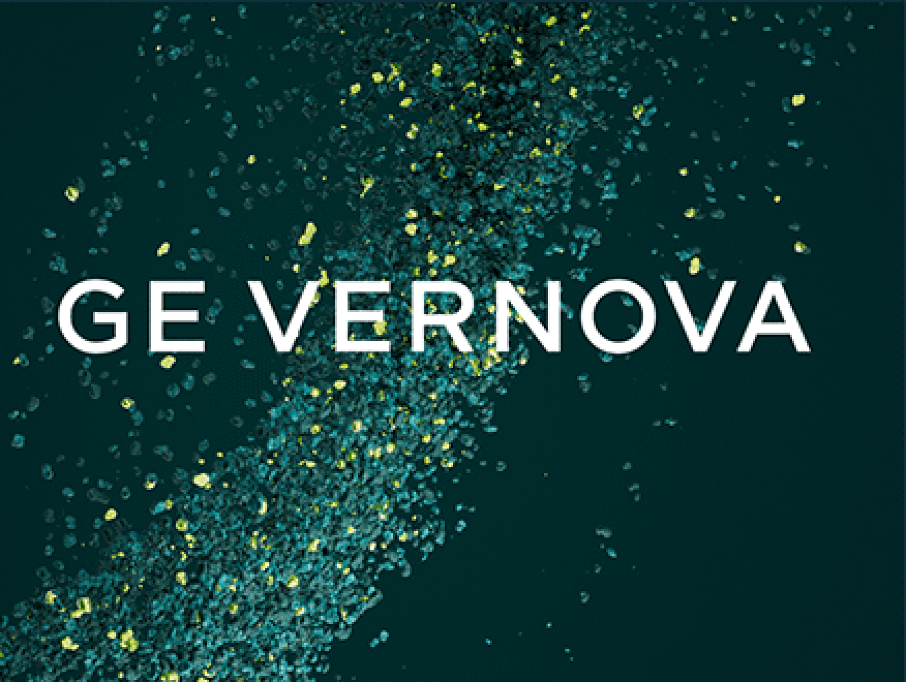 1800x1356 GE Vernova's Sustainability Performance in Year One Revealed