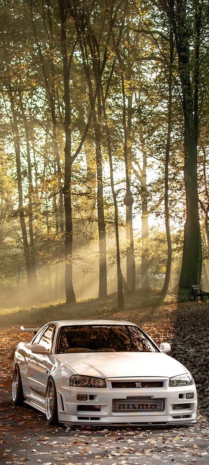 702x1560 Ride in Style: Unveiling the Latest Cars