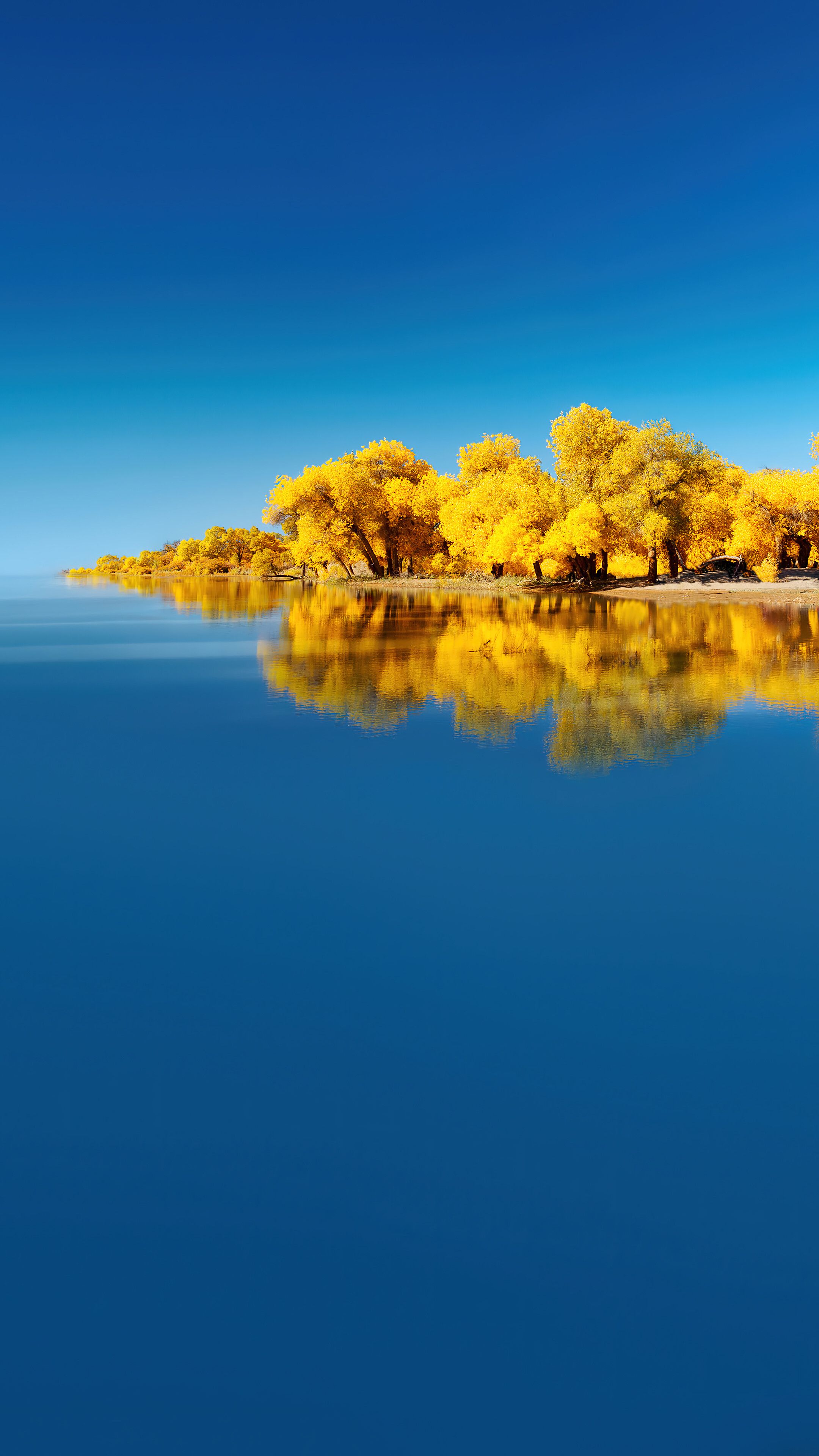 2160x3840 Lake Yellow Tree Scenery Huawei 4K Wallpaper iPhone HD Phone f