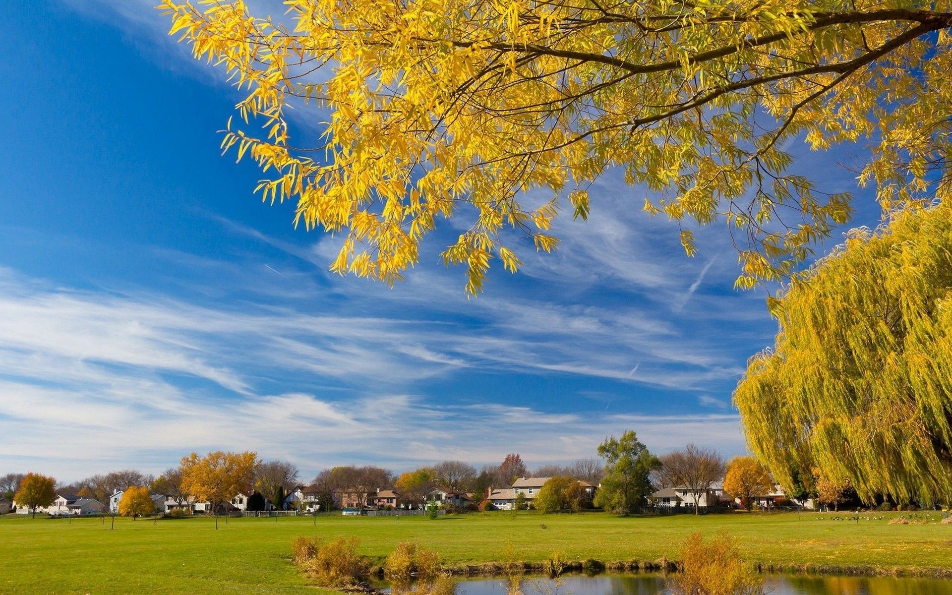 1920x1200 landscape, Nature, Trees, House, Yellow, Green, Blue, Park Wallpaper HD / Desktop and Mobile Background