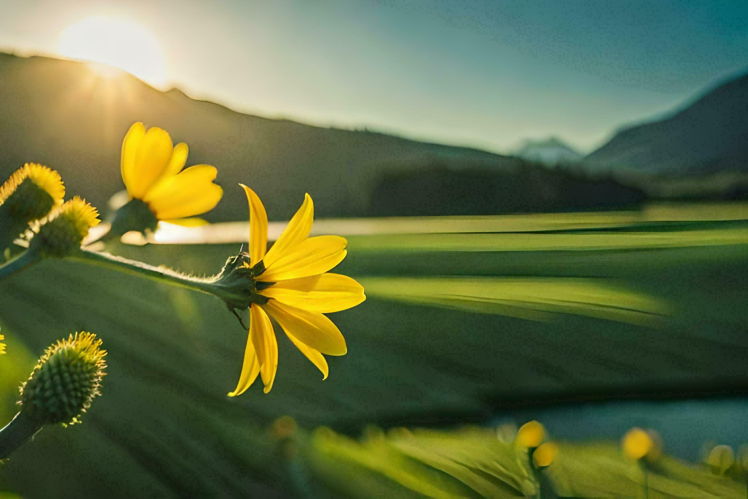 2940x1960 Yellow Flowers In The Sun, Mountains, Green, Nature, HD Wallpaper. AI Generated