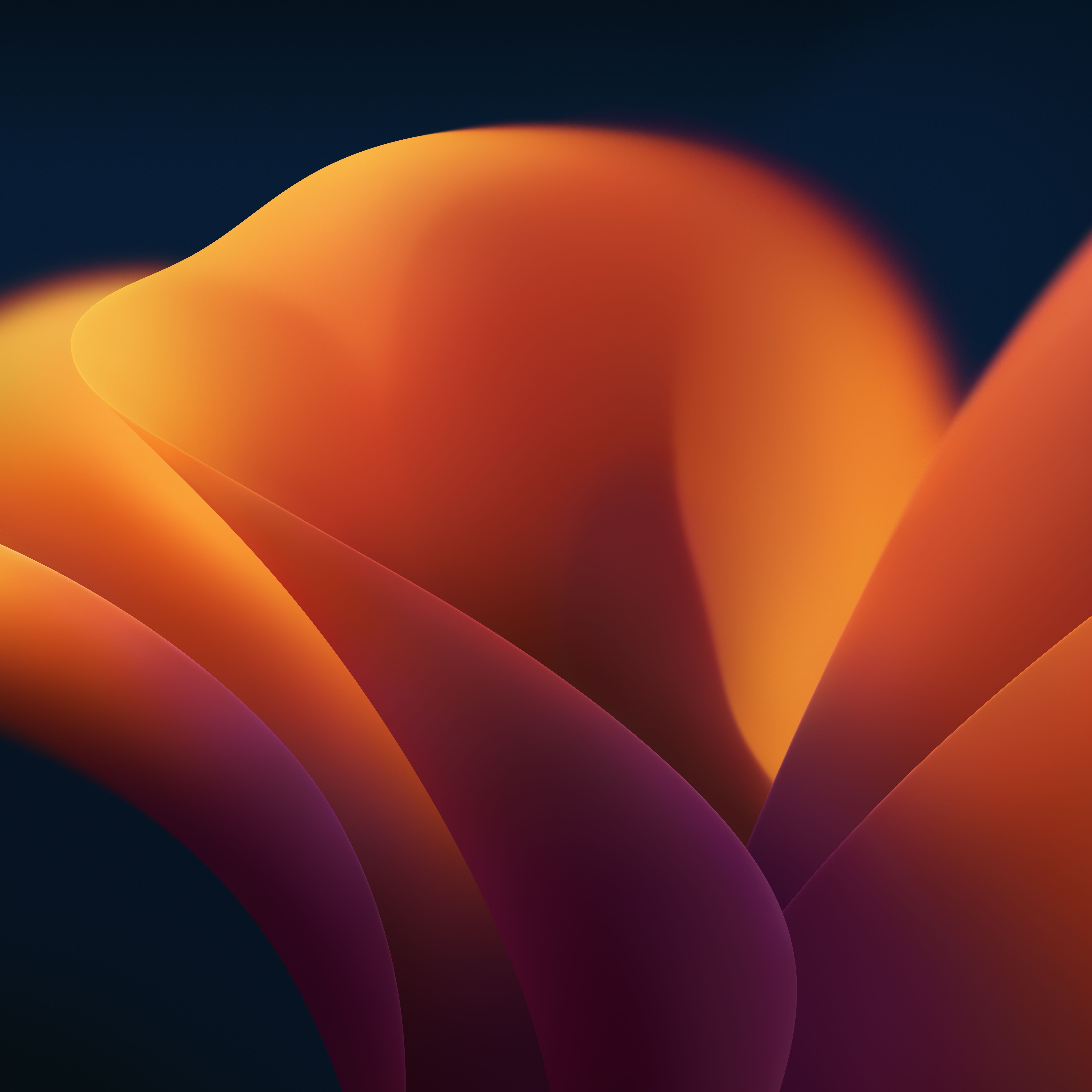 6016x6016 Every Default macOS Wallpaper Glorious 6K Resolution