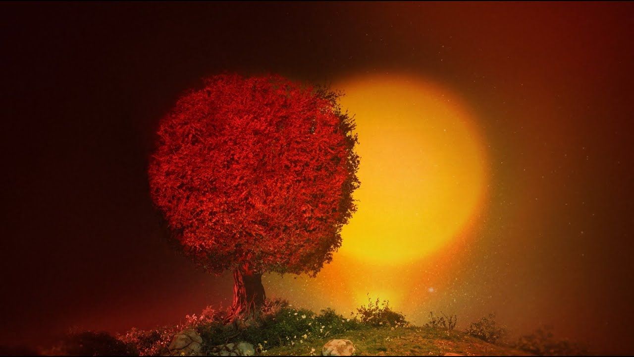 1280x720 SZA’s Bonus Performance of “Saturn”