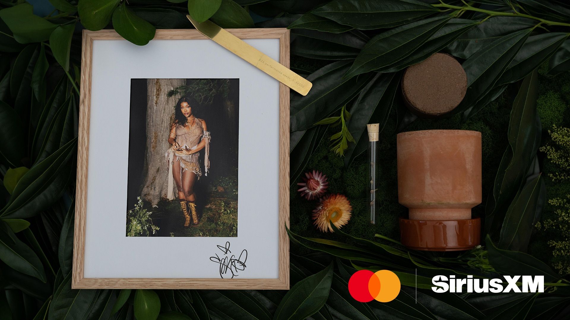 1920x1080 Get SZA's Framed Autograph in Support of Forest Restoration