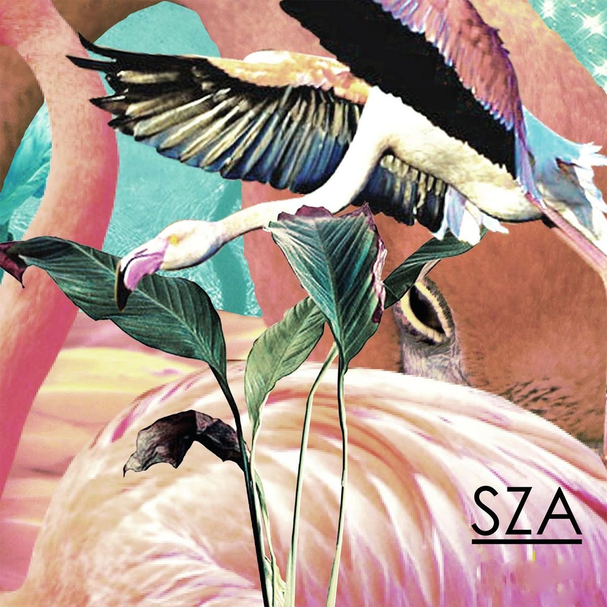 1200x1200 SZA