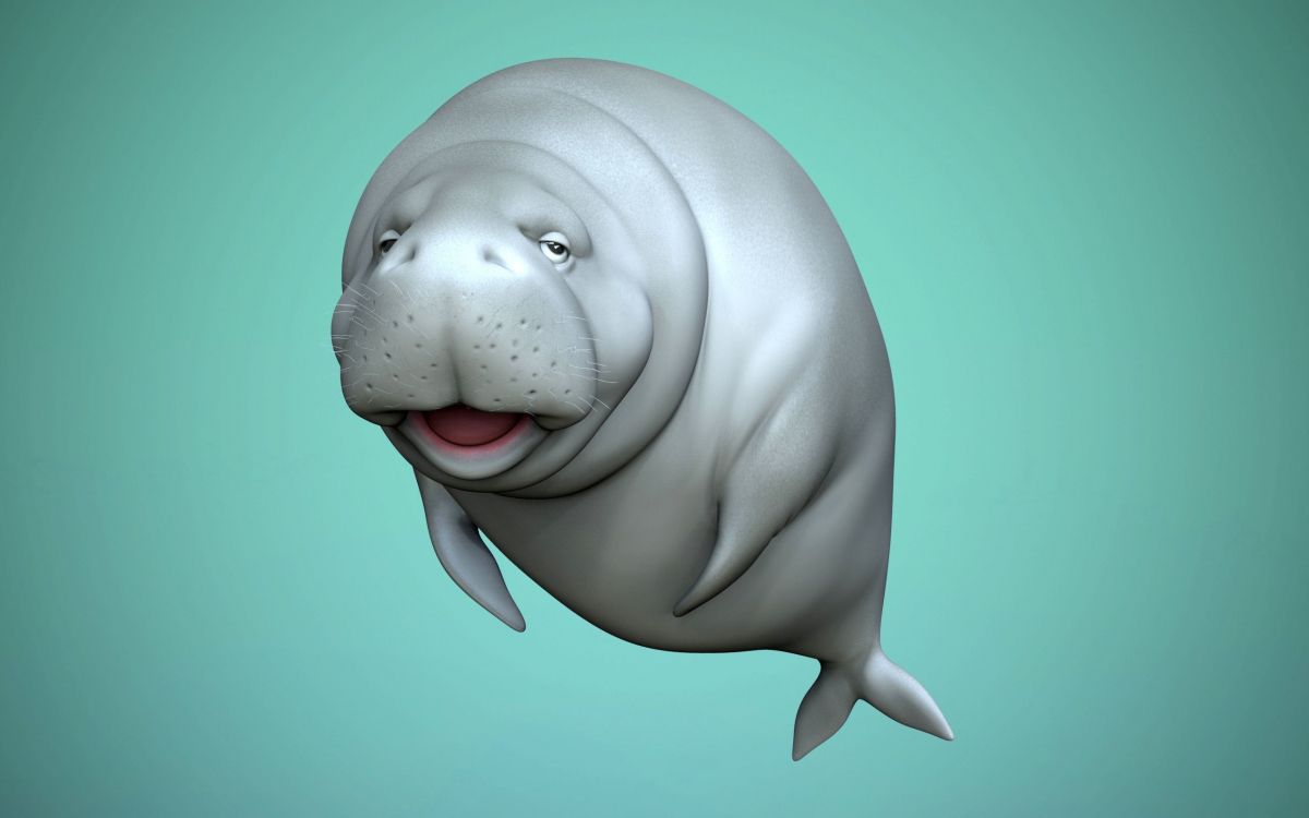 1200x750 Wallpaper Dugong, 3D Modeling, FBX, Virtual Reality, Head, Background Free Image