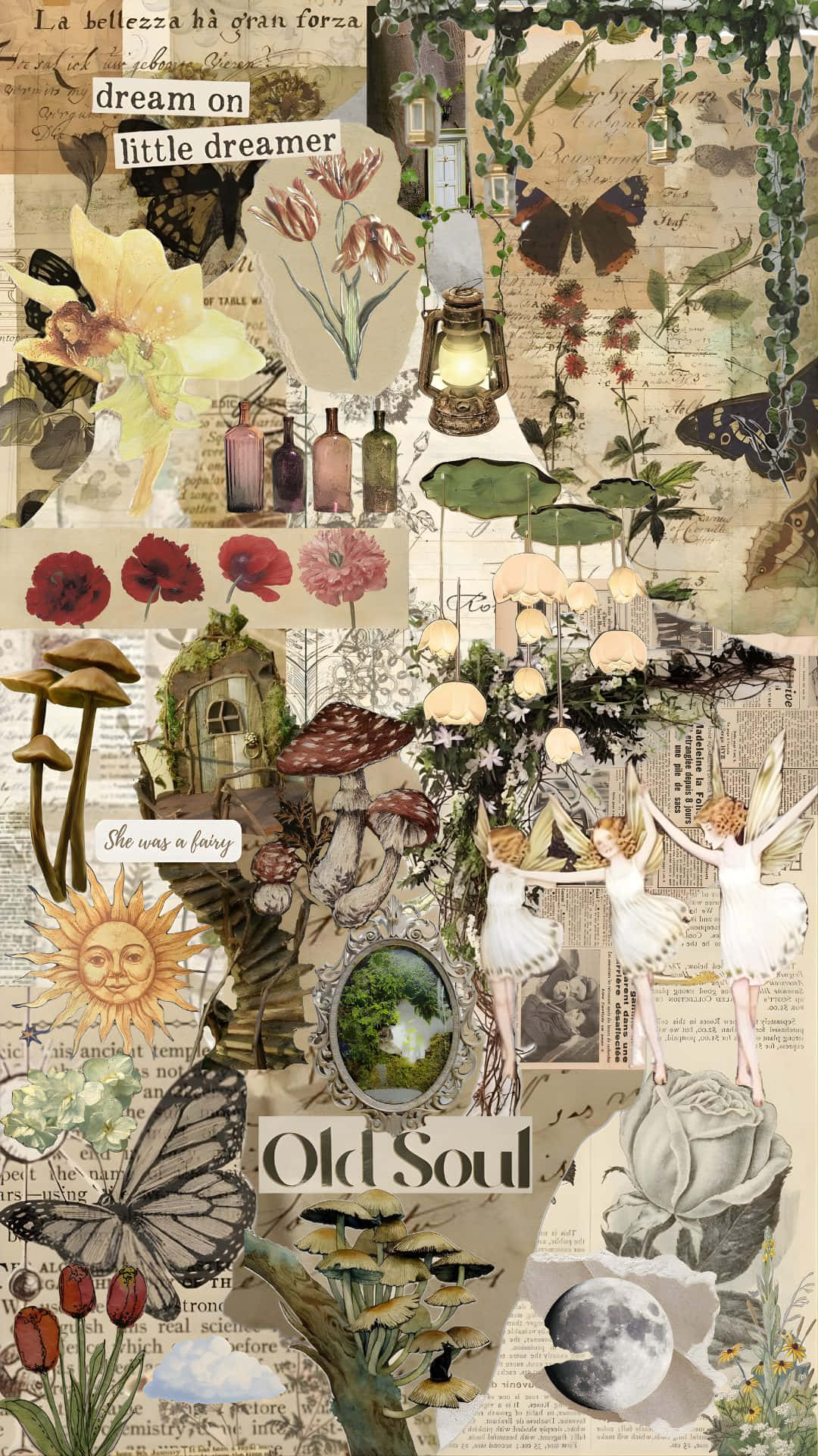 1080x1920 Download Grunge Fairycore Dream Collage Wallpaper