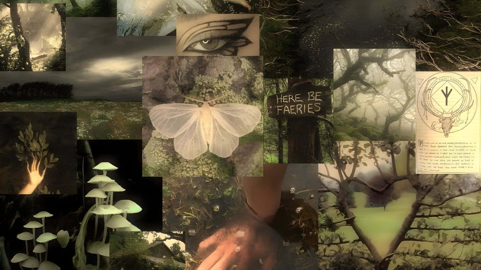 1920x1080 Download Grunge Fairycore Moodboard Wallpaper
