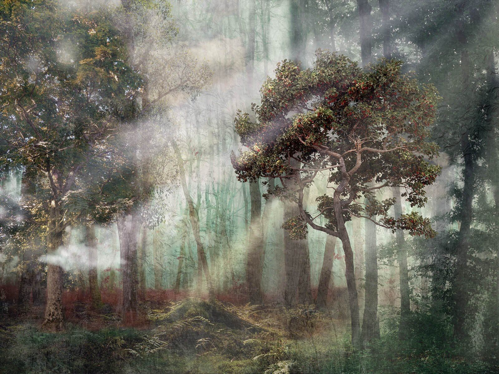 1600x1200 Foggy forest with trees