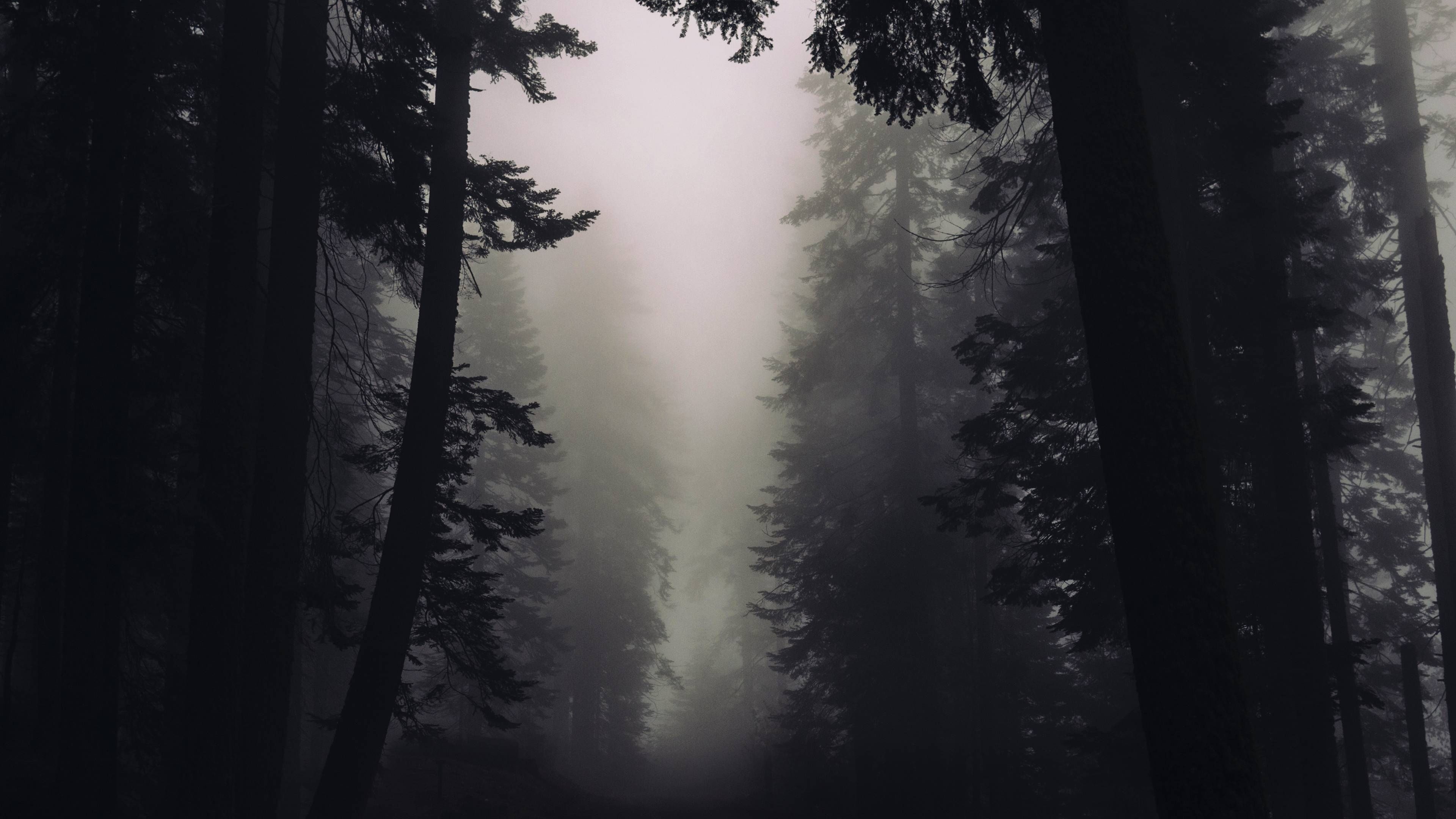 3840x2160 Gothic Art Wallpaper