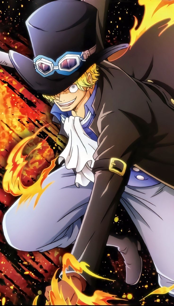 736x1292 Akuma no mi. Anime one piece, Revolucionarios, Fans de one piece