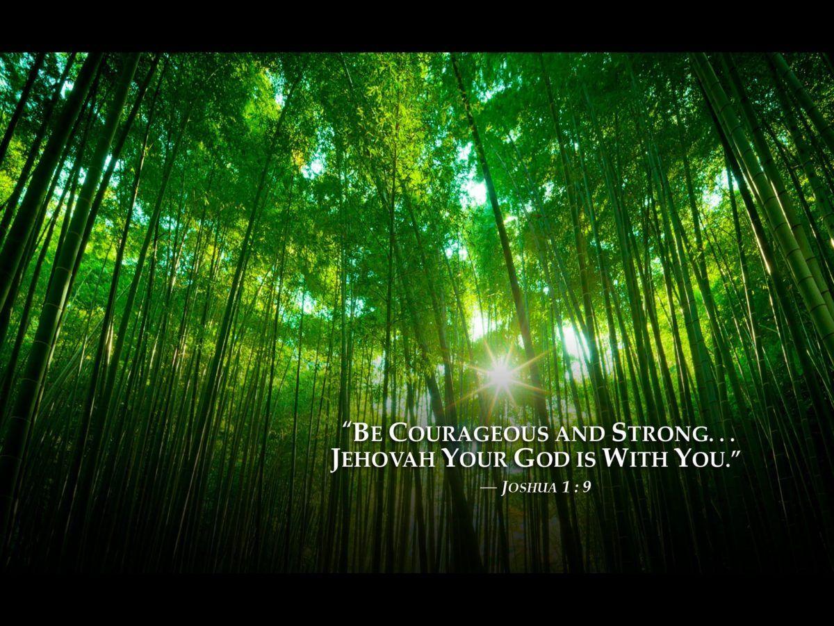 Download A Heavenly Paradise of Jehovah Wallpaper  Wallpaperscom