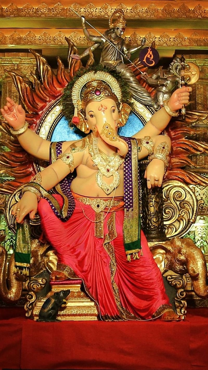 800x1422 HD chinatamani wallpaper