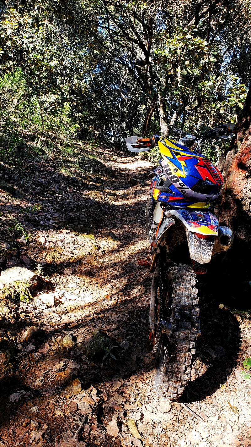 800x1422 KTM bike, cross, dirtbike, enduro, forest, mexico, mountains, nature, trees, HD phone wallpaper