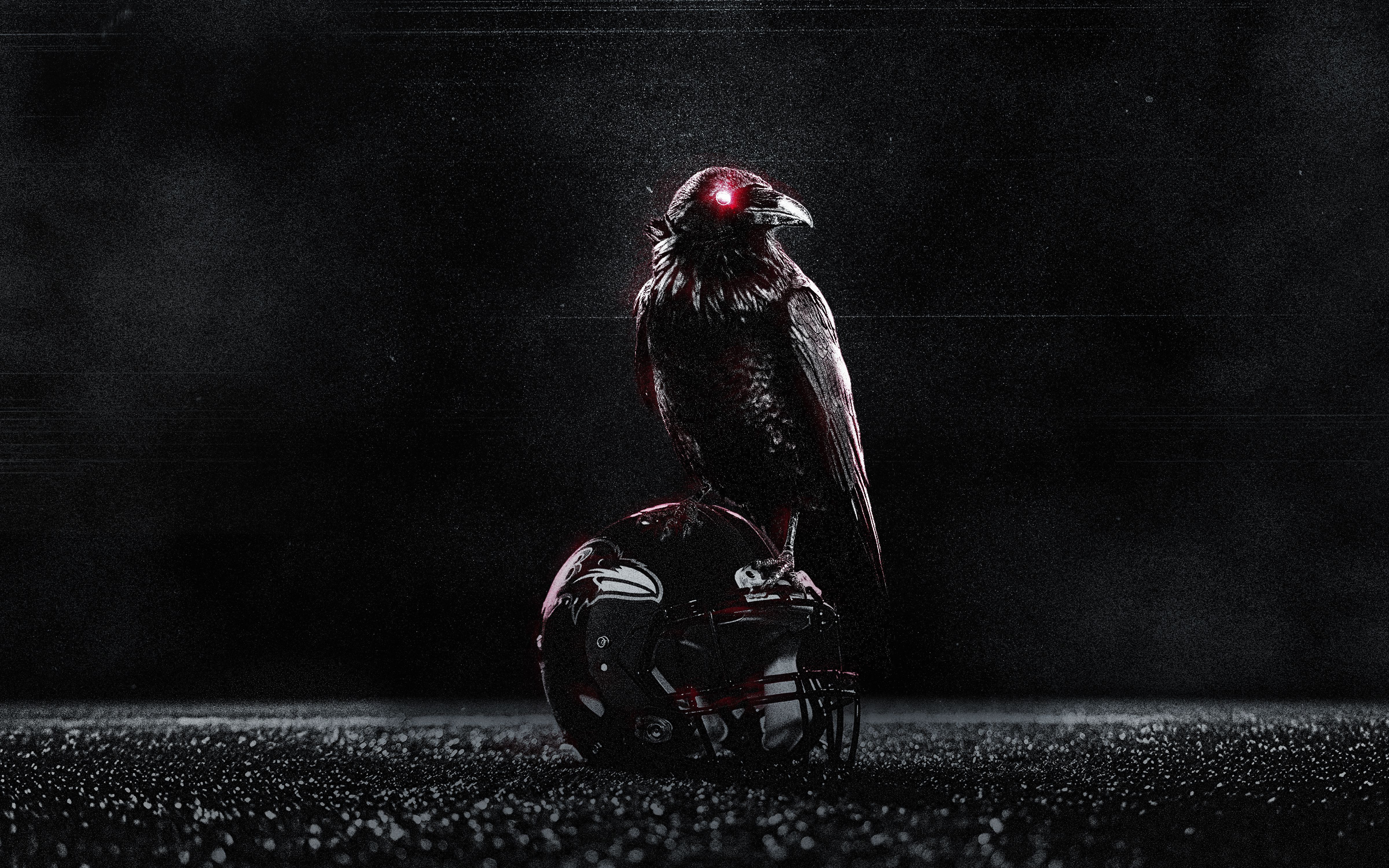 4800x3000 Ravens Wallpaper