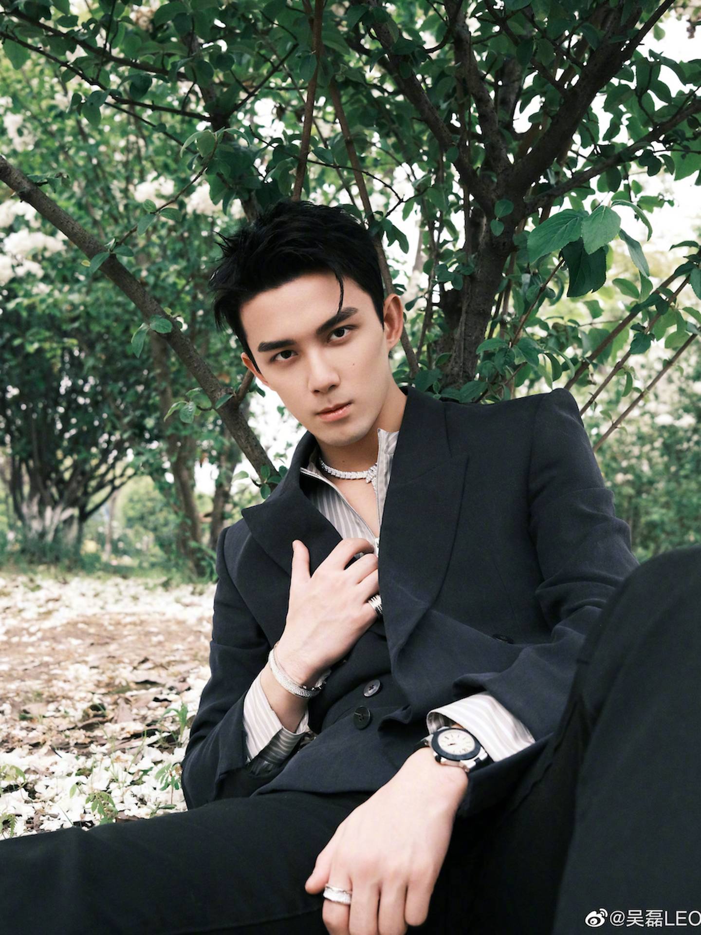 1440x1920 Leo Wu Wallpaper