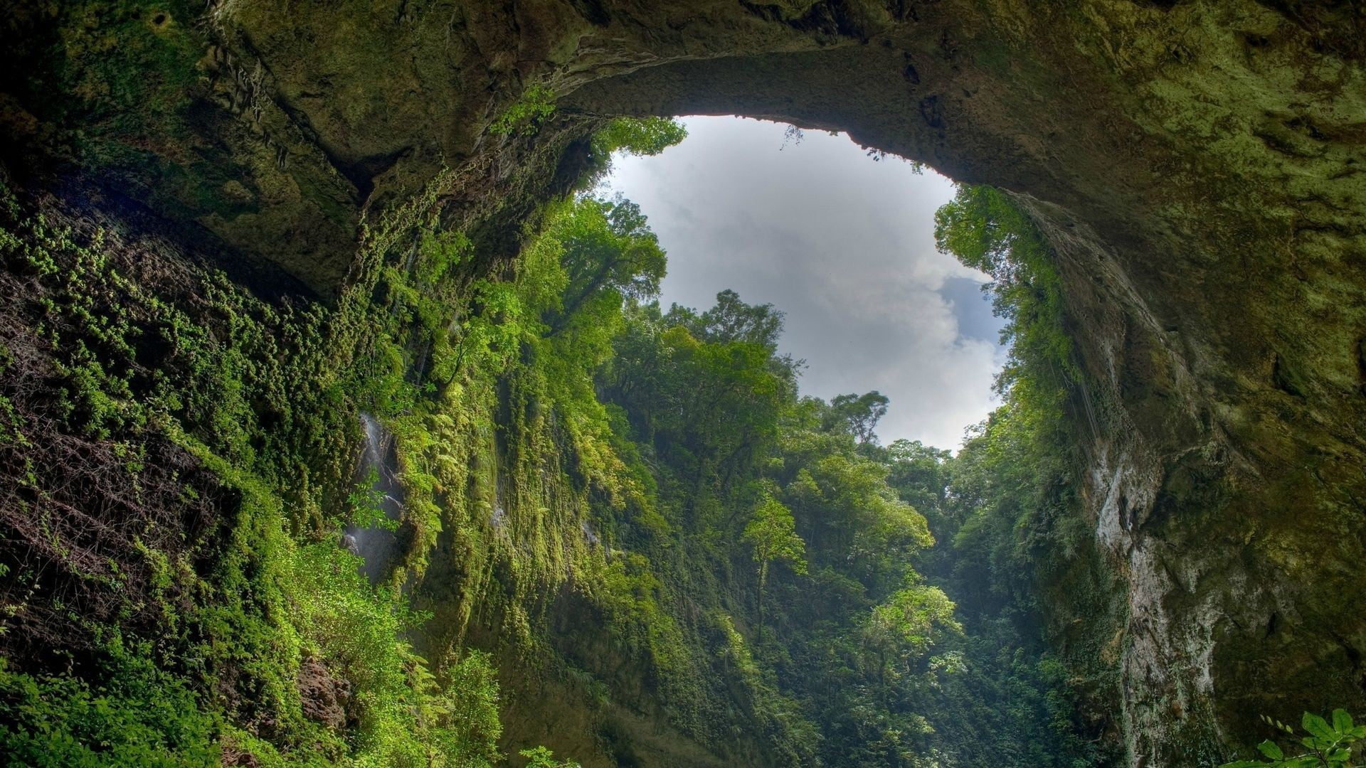1920x1080 Cave entrance surrounded by green trees, forest, canal HD wallpaper