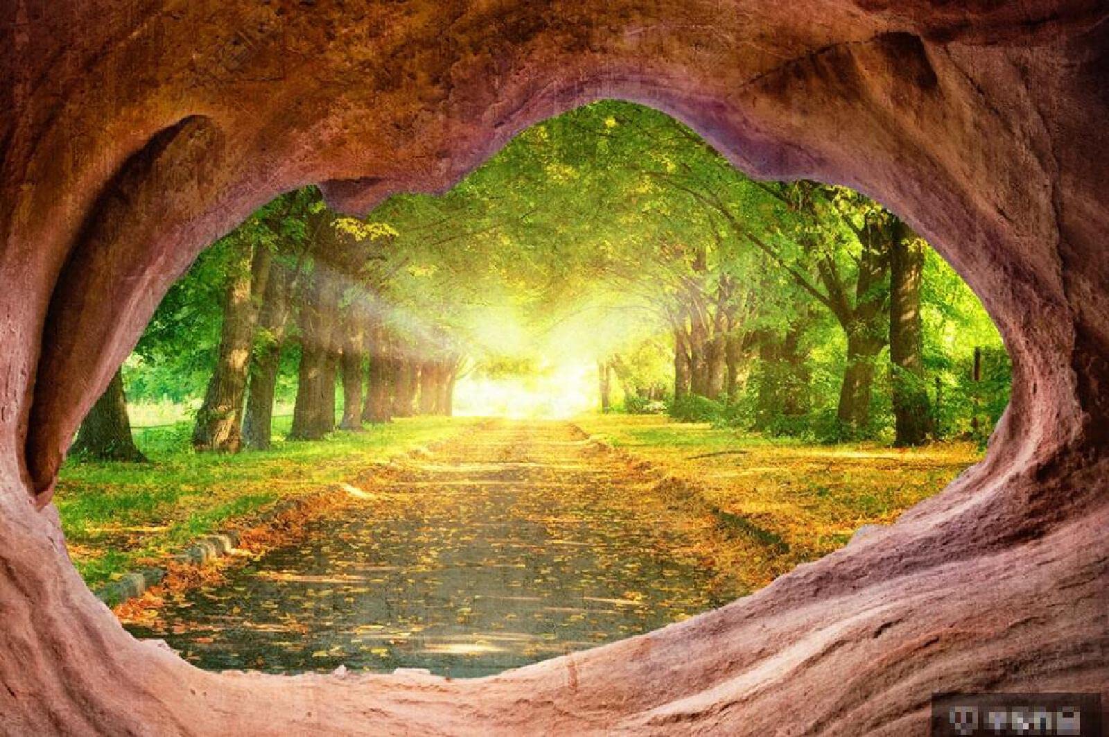 1600x1063 Wallpaper Children's Room Photo Entrance Landscape Forest Deciduous Wallpaper Non Woven Wallpaper Modern Bedroom Wallpaper Picture Wallpaper Wall Decoration 250 X 175 Cm : Amazon.de: DIY & Tools