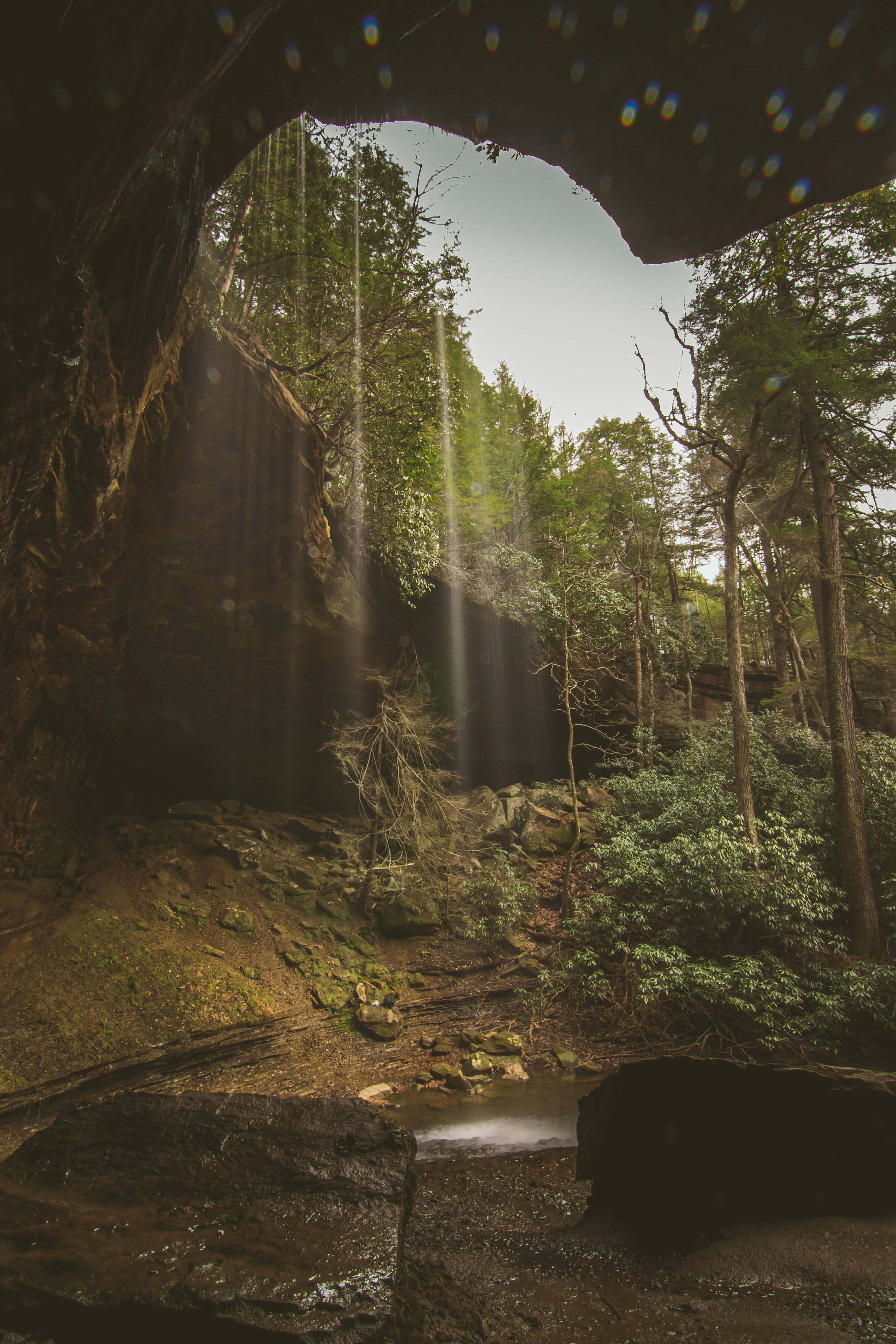 3000x4500 A view of a forest through a cave photo