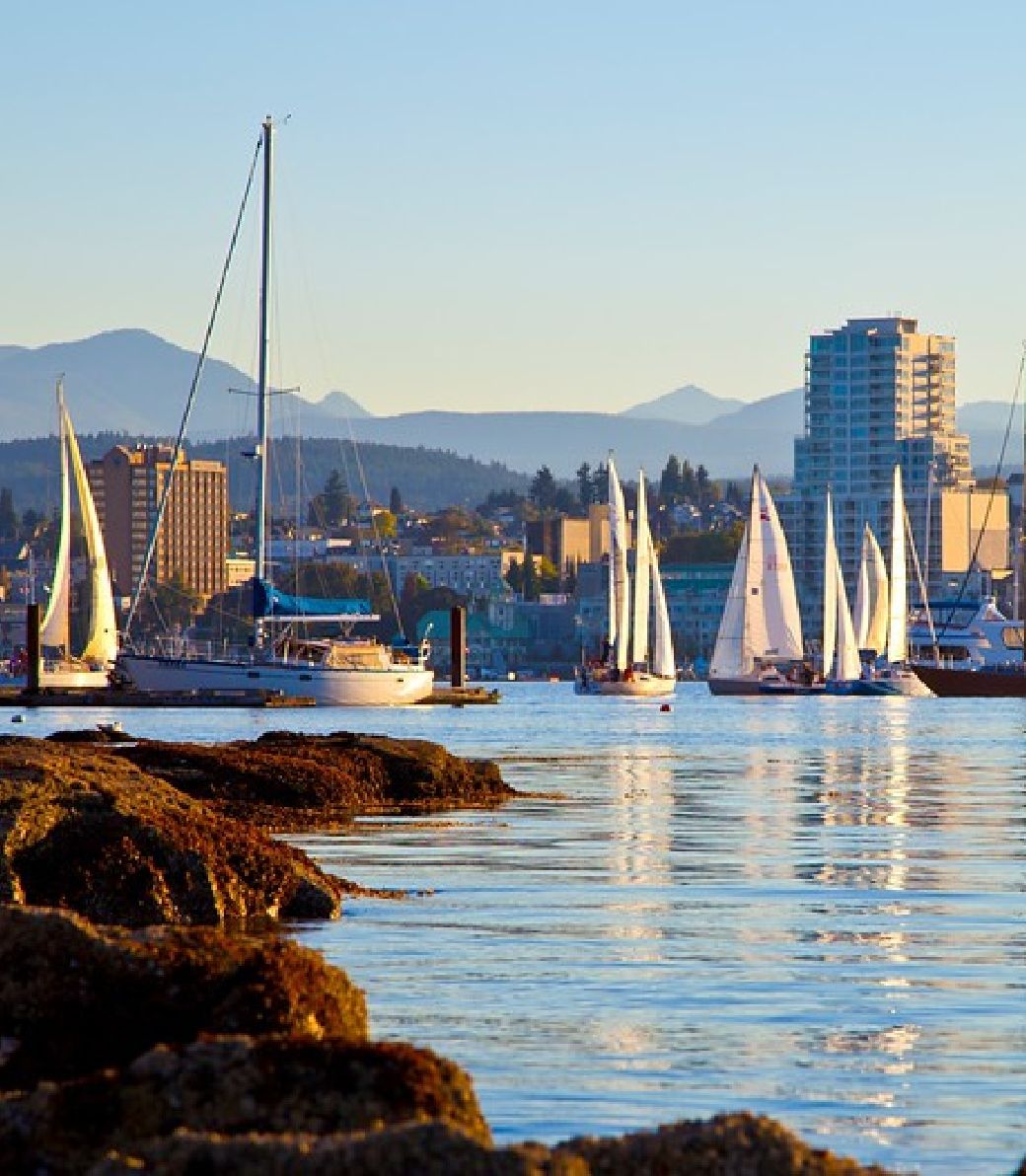 1040x1192 About the Mid Island Business Initiative. Nanaimo Vancouver Island