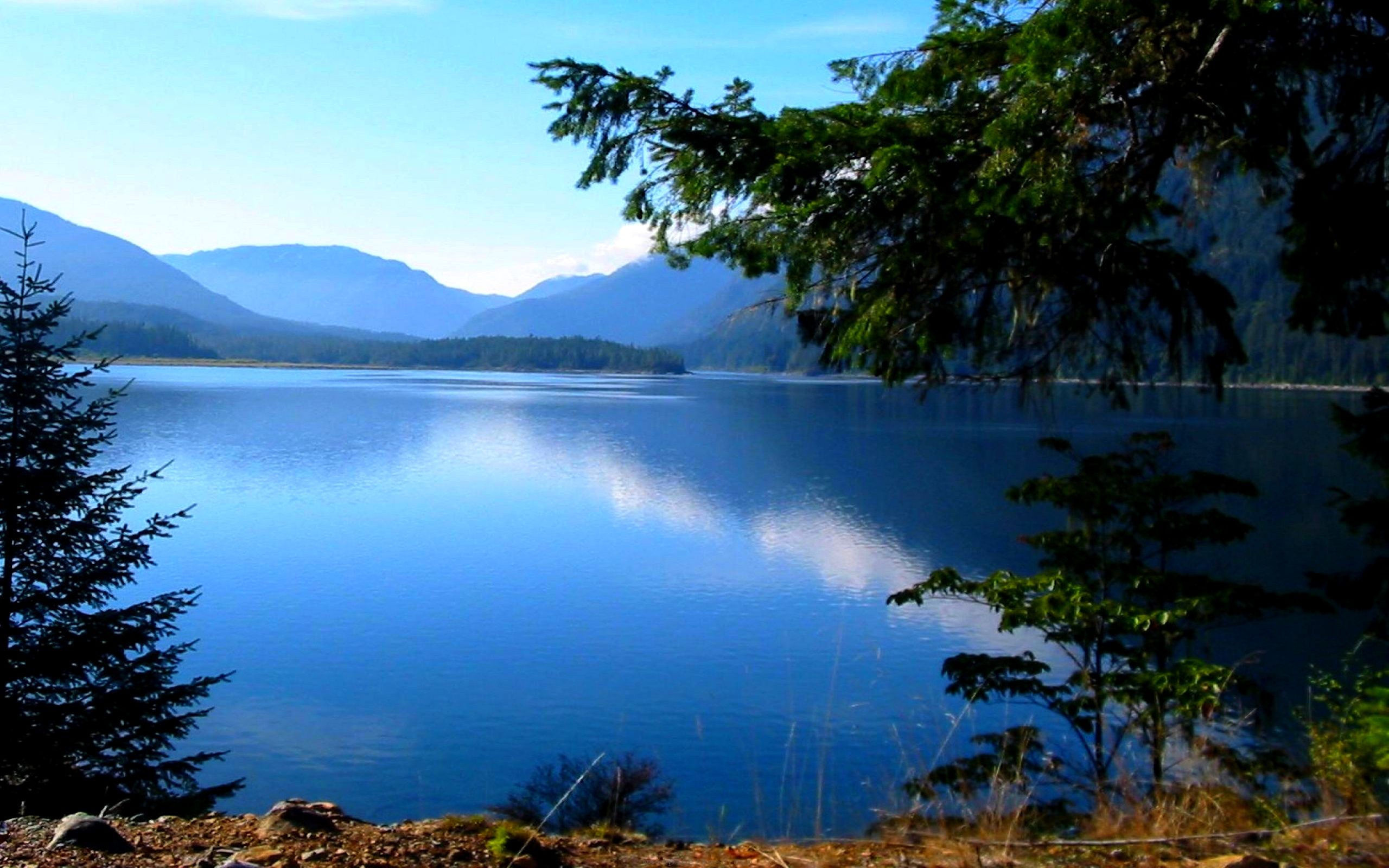 2560x1600 Nanaimo. Canada Alive!