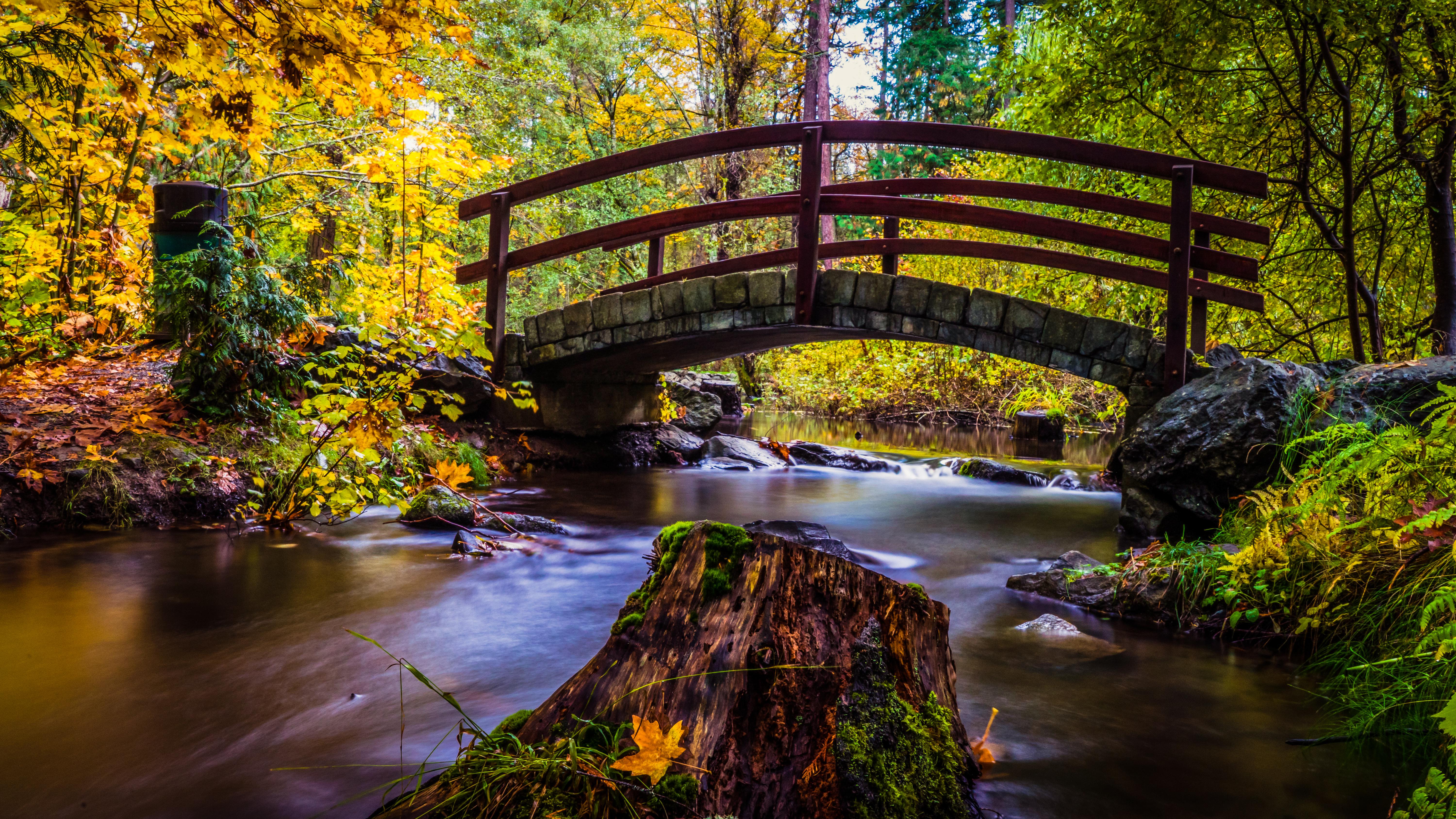 6000x3376 Bowen Park, Nanaimo, Canada