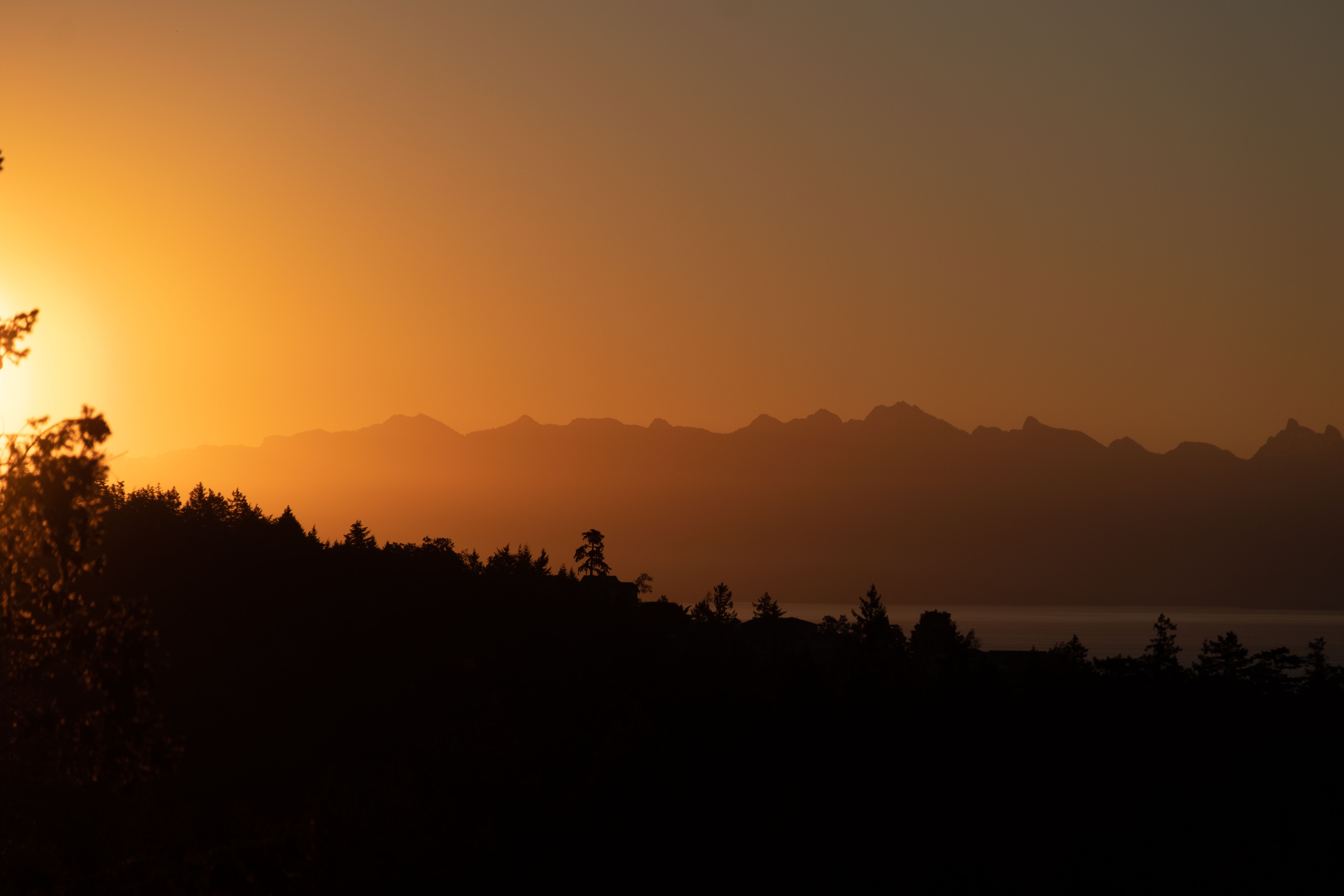 6000x4000 Silhouette of Trees during Sunset · Free