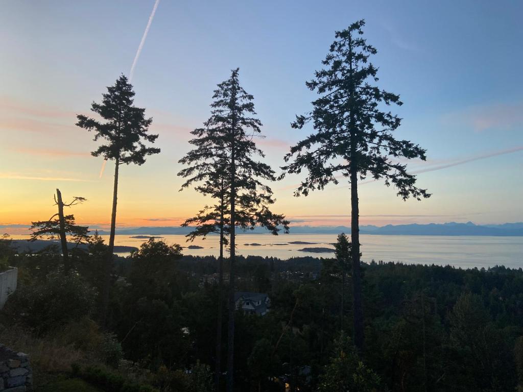 1024x768 Winchelsea Views, Nanaimo (updated prices 2026)