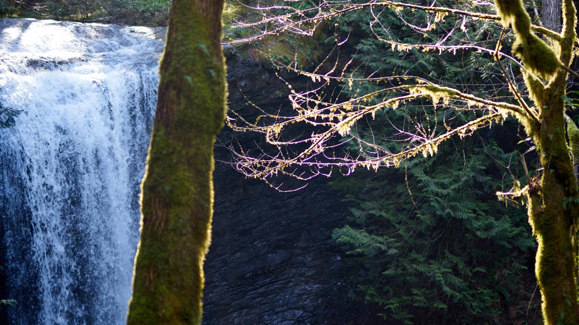 1920x1080 Attractions and Places To See around Nanaimo