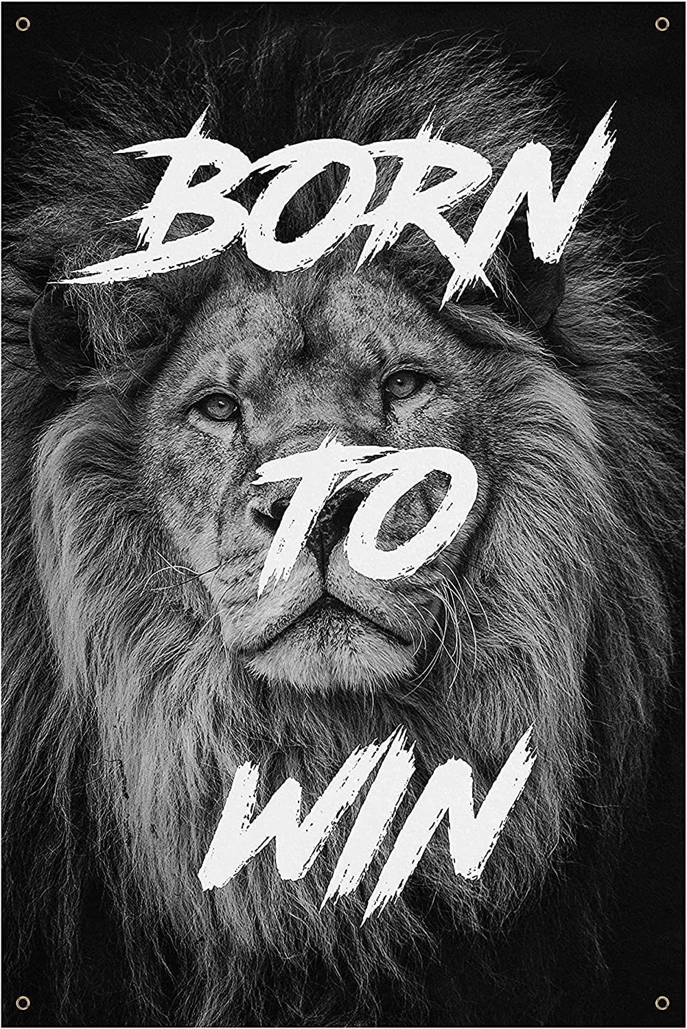 1001x1500 Damdekoli Born To Win Banner Gym Decor Motivational Quote Wall Art Print (18 x 24 Inches) : Office Products