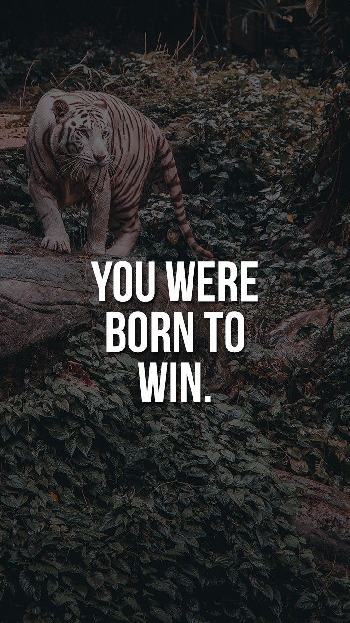 720x1280 Motivational Quotes for Success. Born to win quotes short, Born to win wallpaper, You were born to win quotes in english