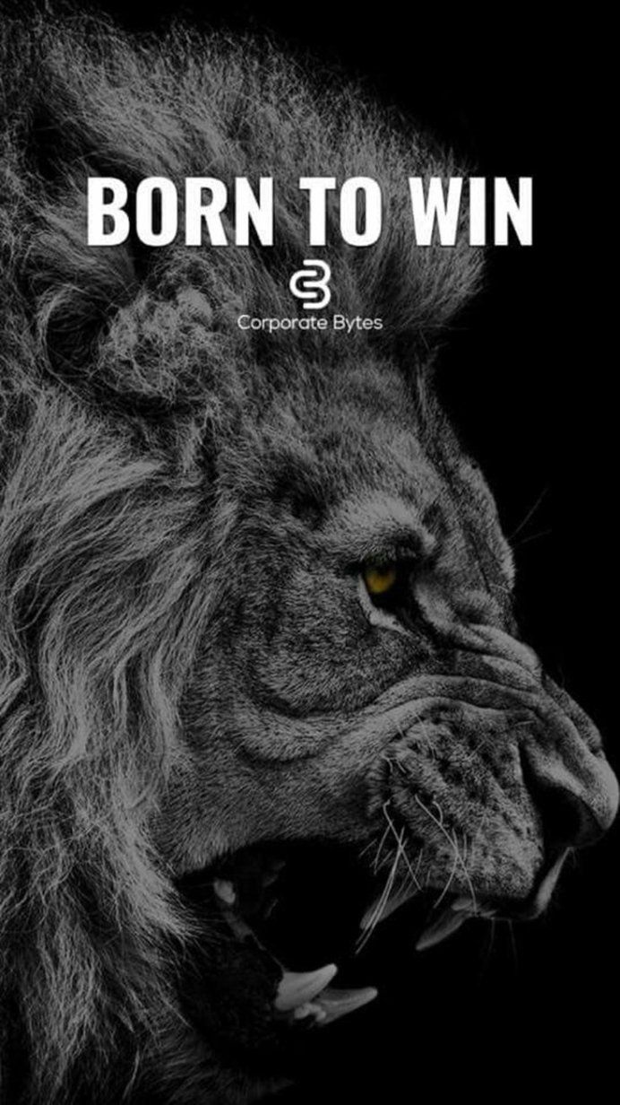692x1232 Motivational Inspirational Quotes About Success 118. Lion quotes wallpaper, Born to win wallpaper, Inspirational lion wallpaper