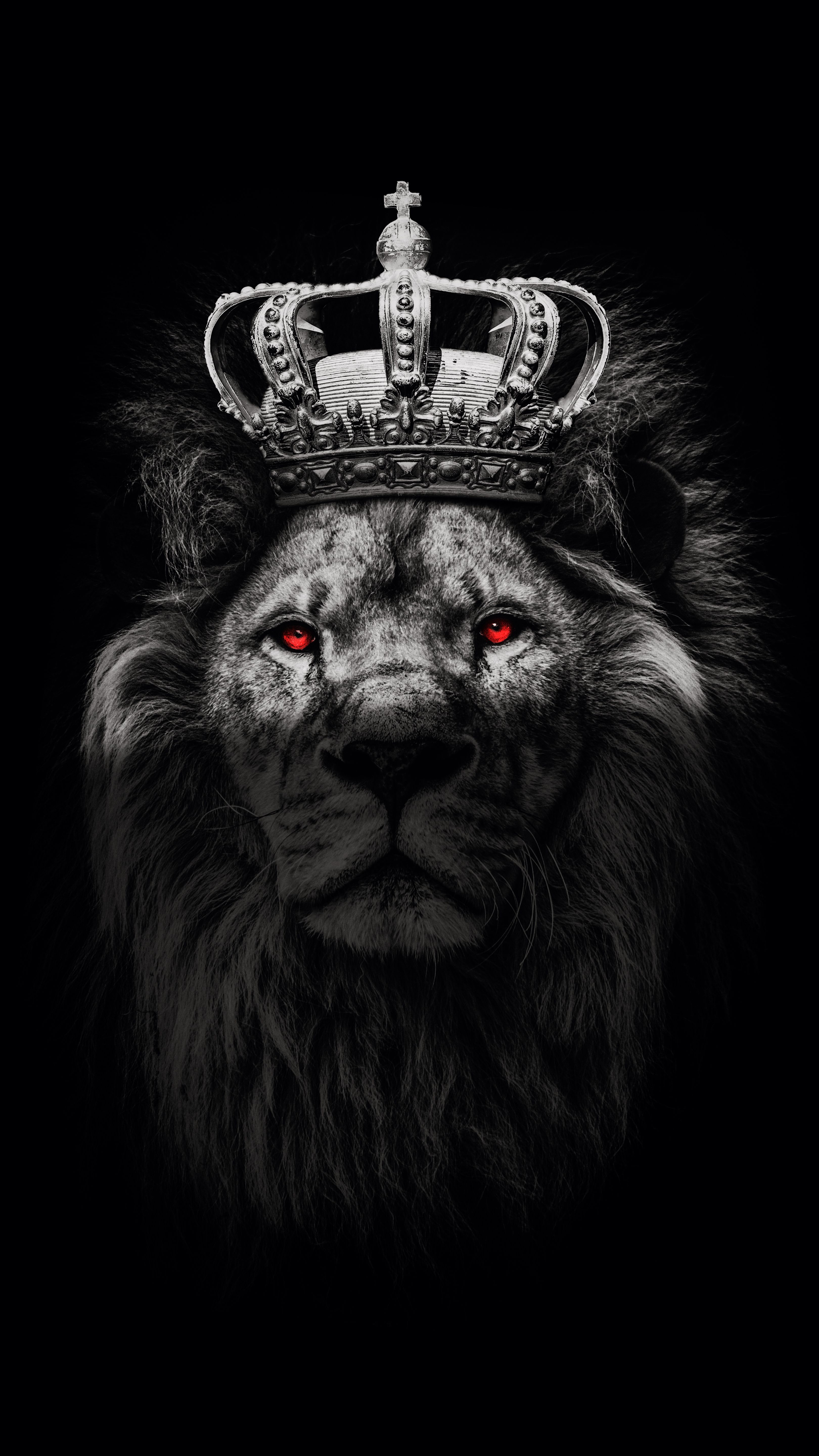 3240x5760 Wallpaper Born to Win Lion, Hanna Ar, Lion, Poster, Motivational Poster, Background Free Image