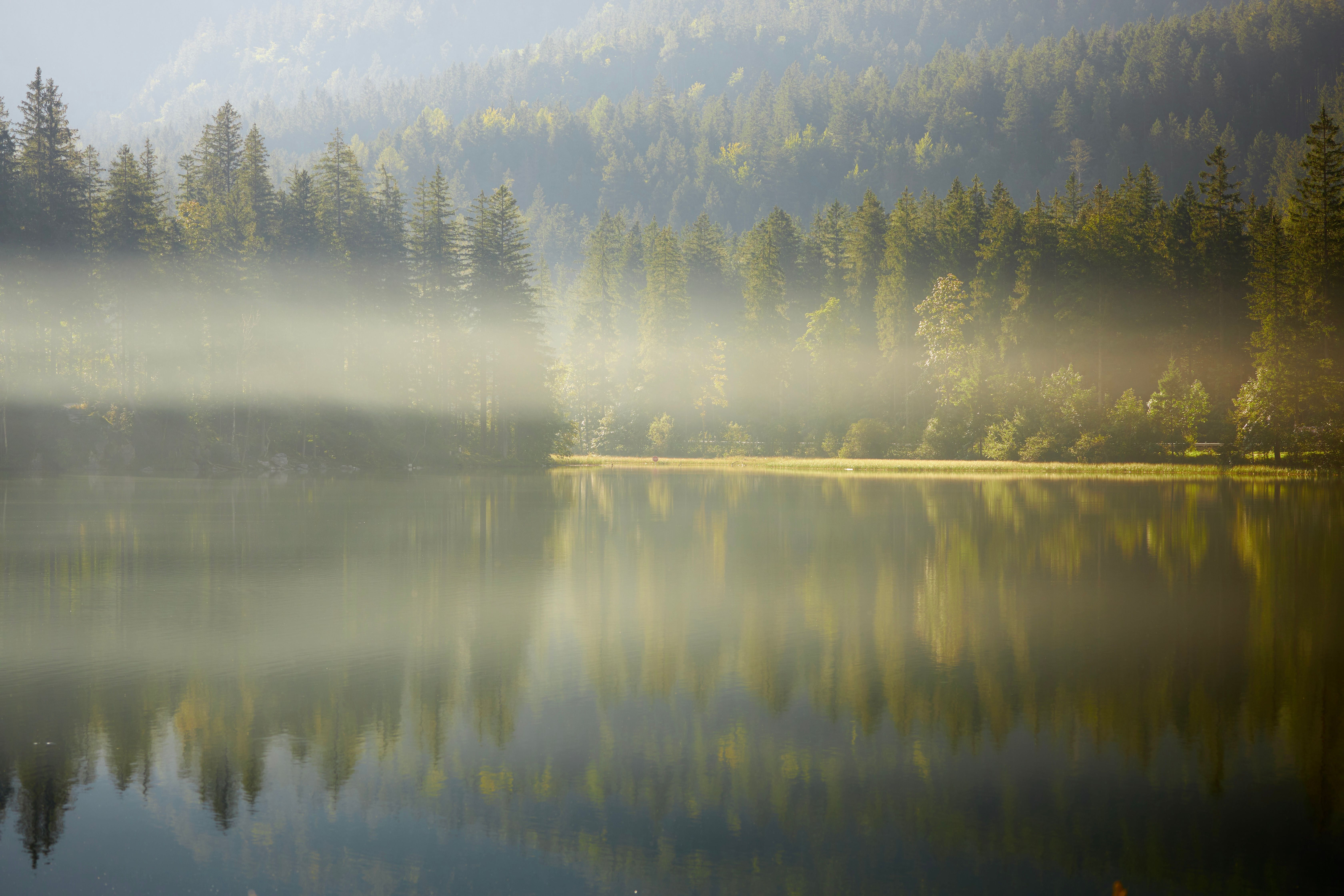 6720x4480 View of Fog above the Water and Forest · Free