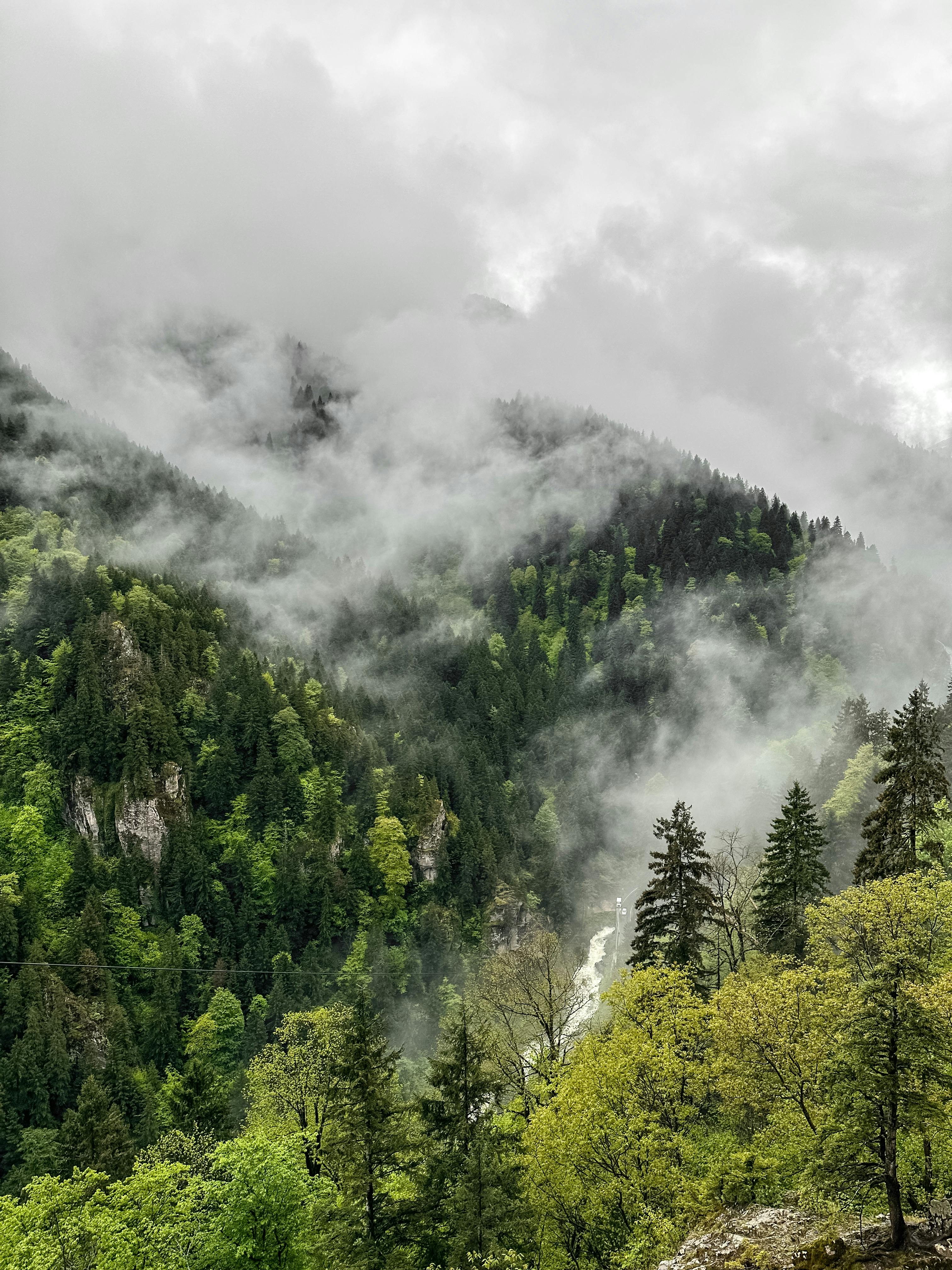 3024x4032 Scenic Mountains and Forest Covered in Fog · Free