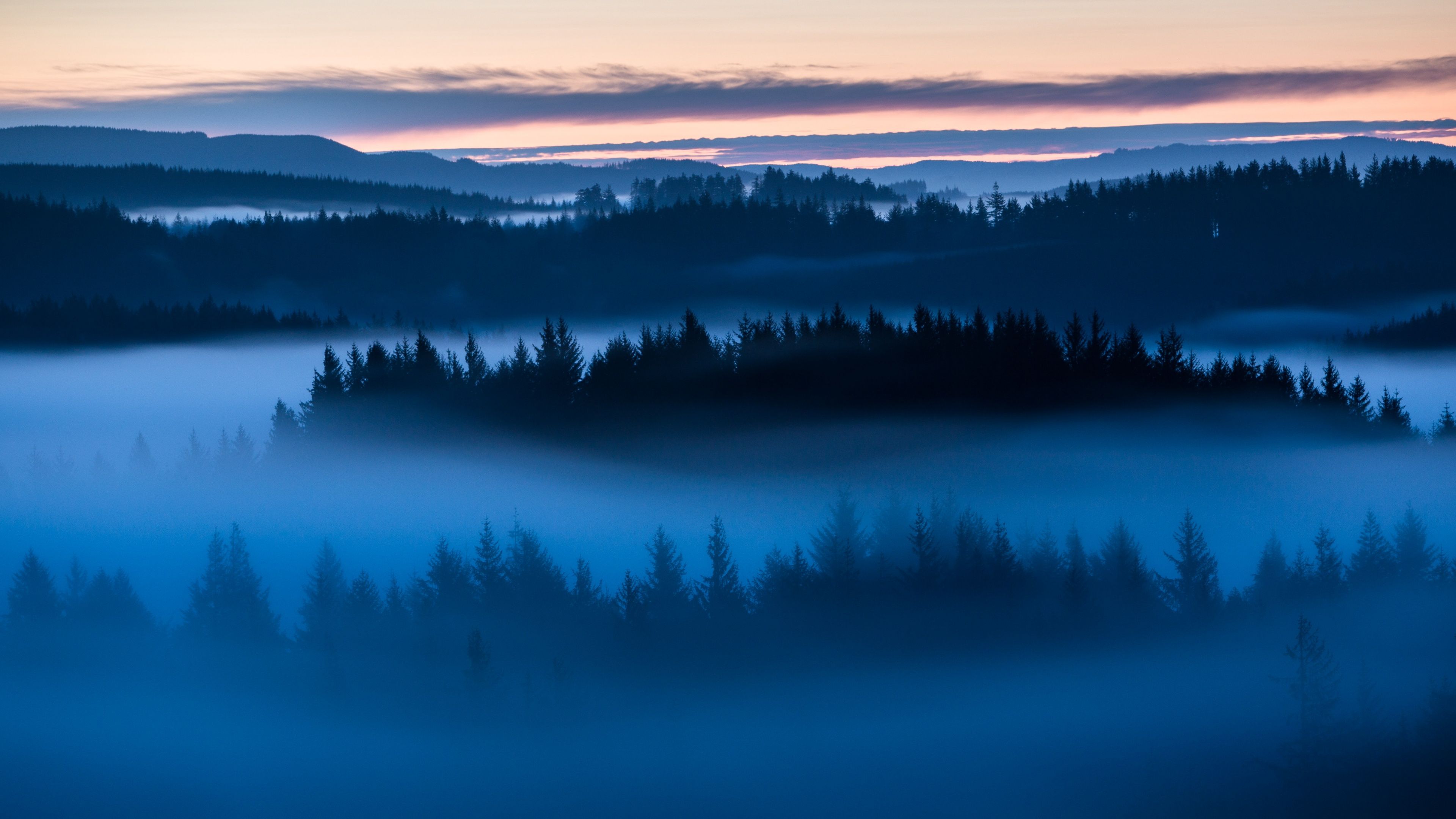 3840x2160 Forest Wallpaper 4K, Sunrise, Fog, Above clouds, Trees