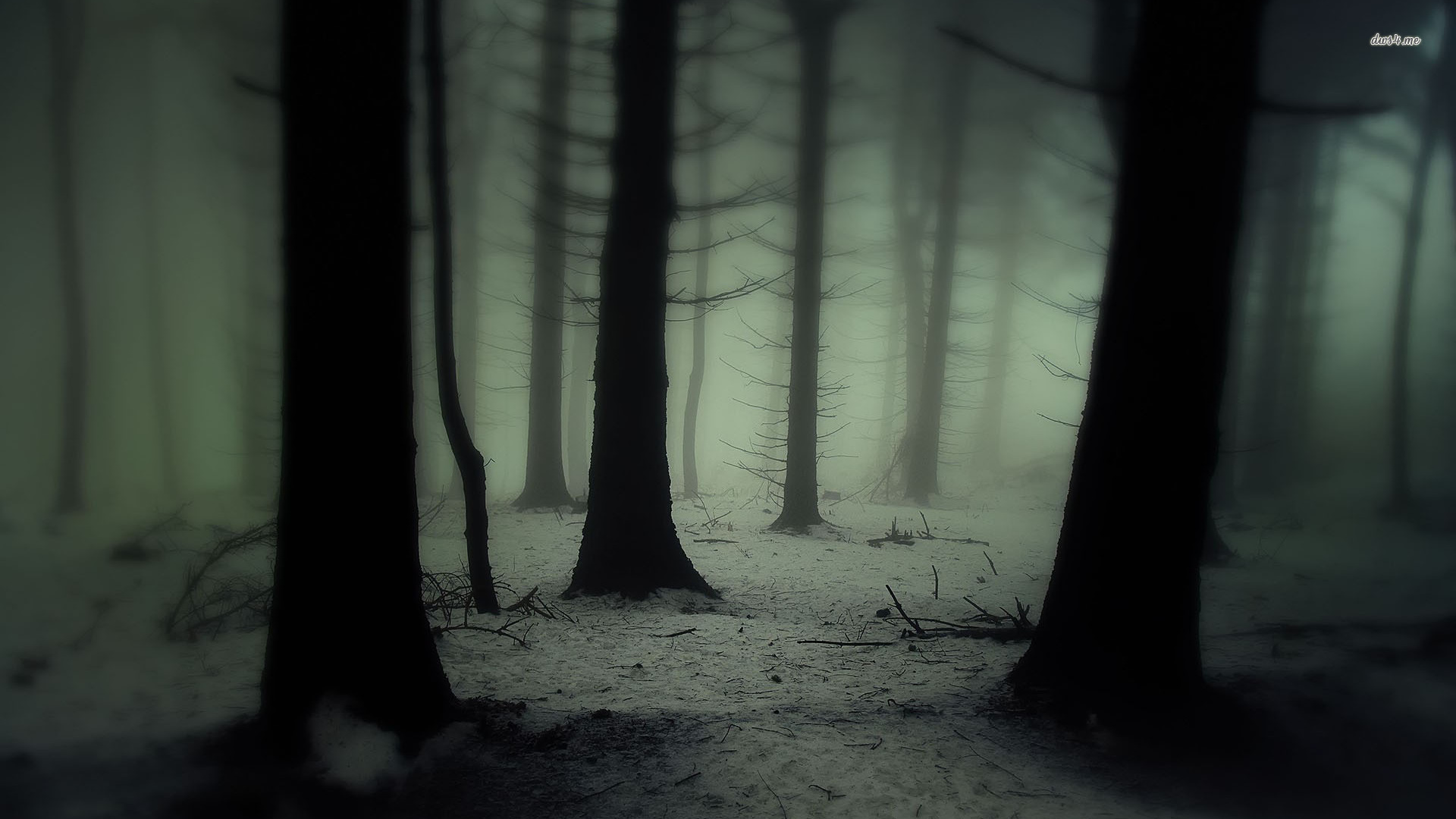 1920x1080 16481 Dark And Foggy Forest 1920×1080 Nature Wallpaper