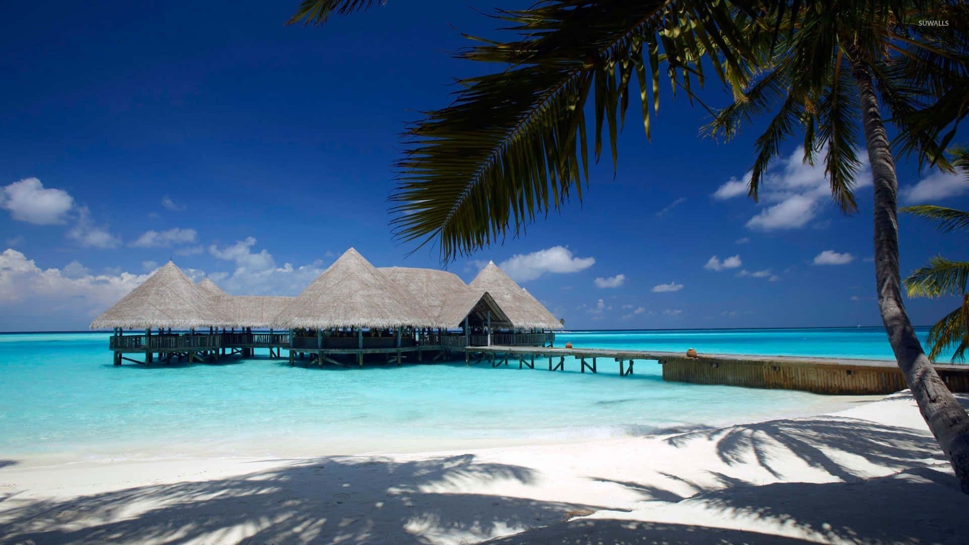 1920x1080 Download Overwater bungalows at breathtaking Bora Bora beach Wallpaper