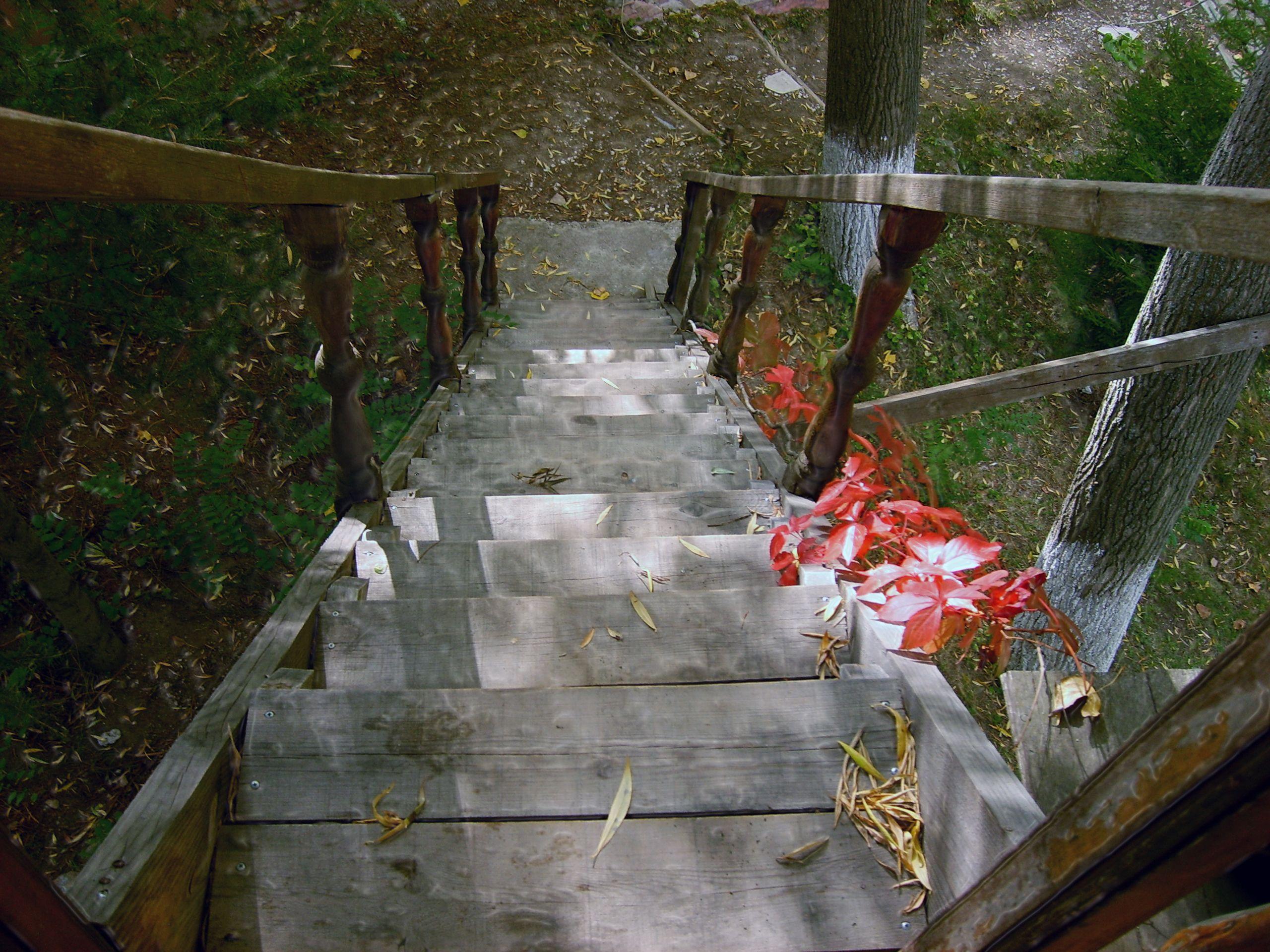 2560x1920 Ladder with Leaves wallpaper. Ladder with Leaves