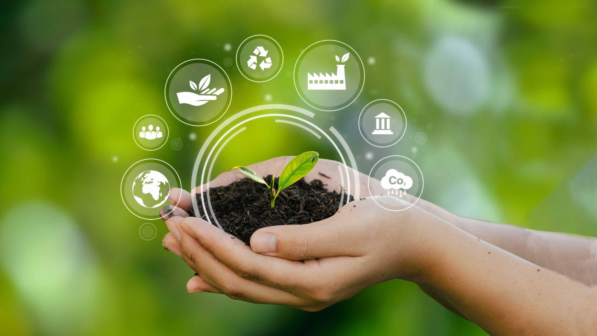 1920x1080 New DOE funding supports Princeton's biofuels efforts