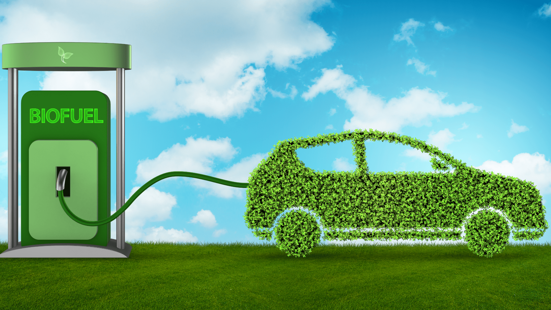 1920x1080 Biofuel Wallpaper