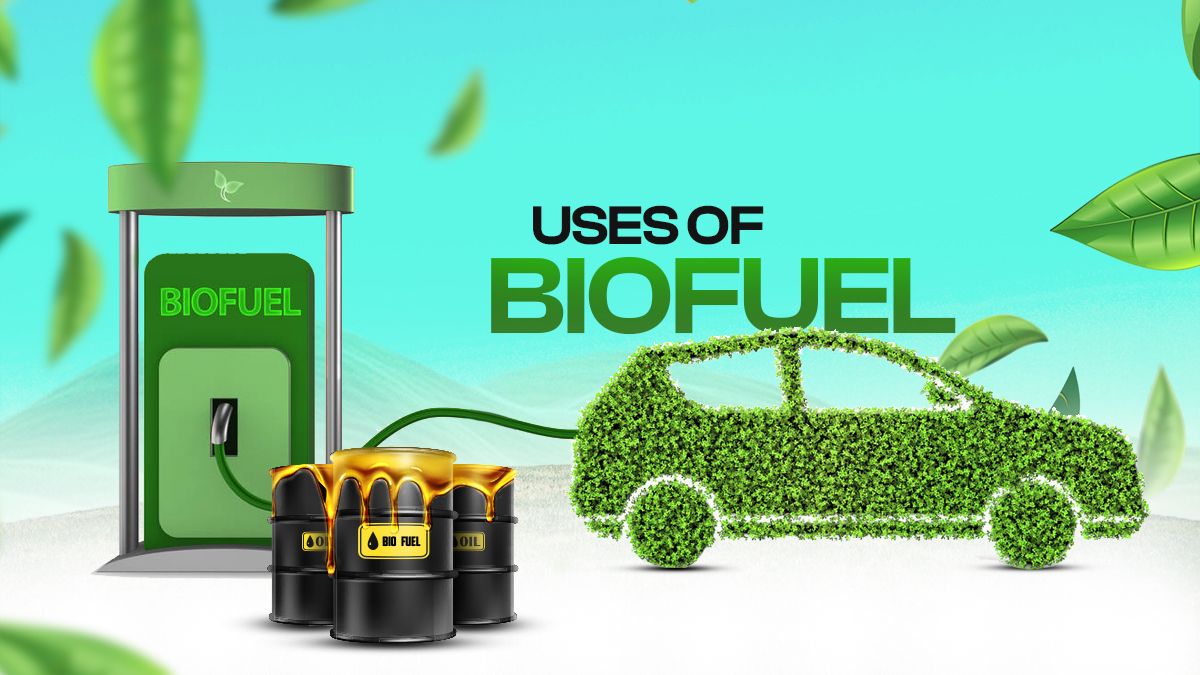 1200x675 What Are the Uses of Biofuels?
