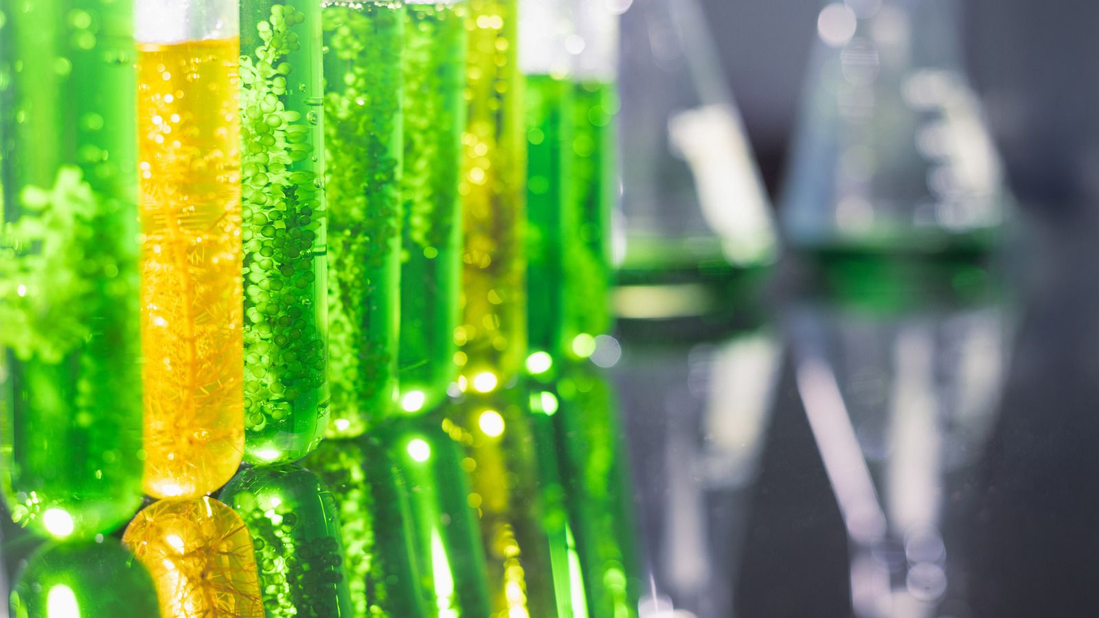 1600x900 Progress on Biofuel Clause for Time Charter Parties